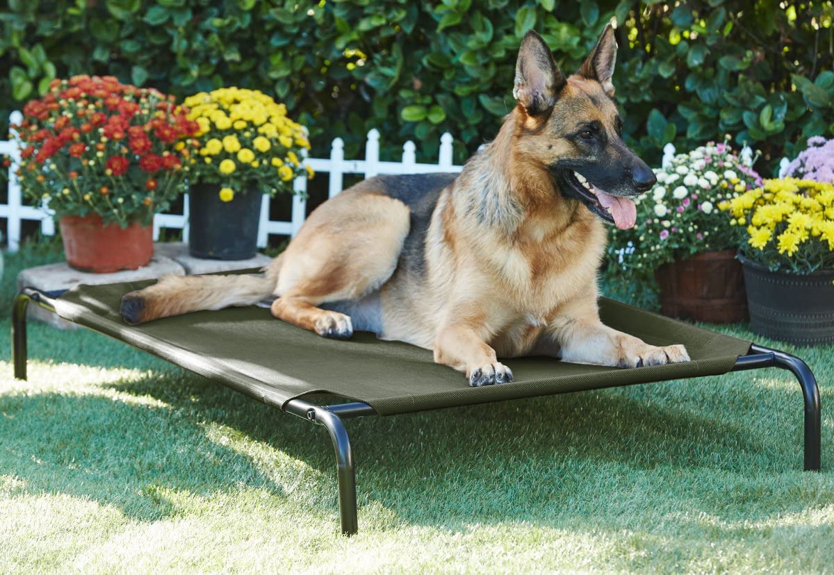 Furrlovers Elevated Raised Waterproof Summer Winter Cotton Canvas Indoor Outdoor Dog Cat Pet Bed (43x25x7.5 inches), (Cotton Canvas) (BED 38X25 - Green) (B0D56DM4HJ) Amazon Price History, Amazon Price Tracker