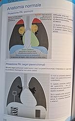 Radiologia in urgenza ed emergenza : Raby, Nigel, Berman, Laurence ...
