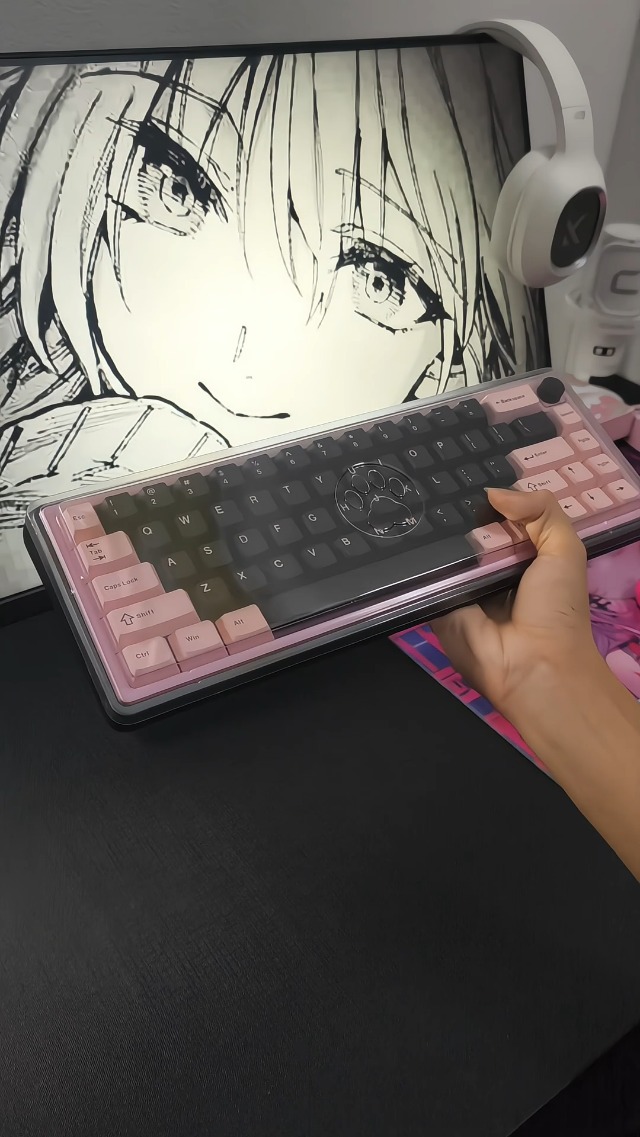 Amazon.com: OOCTPK Chilkey Foxy65 Mechanical Keyboard with Knob