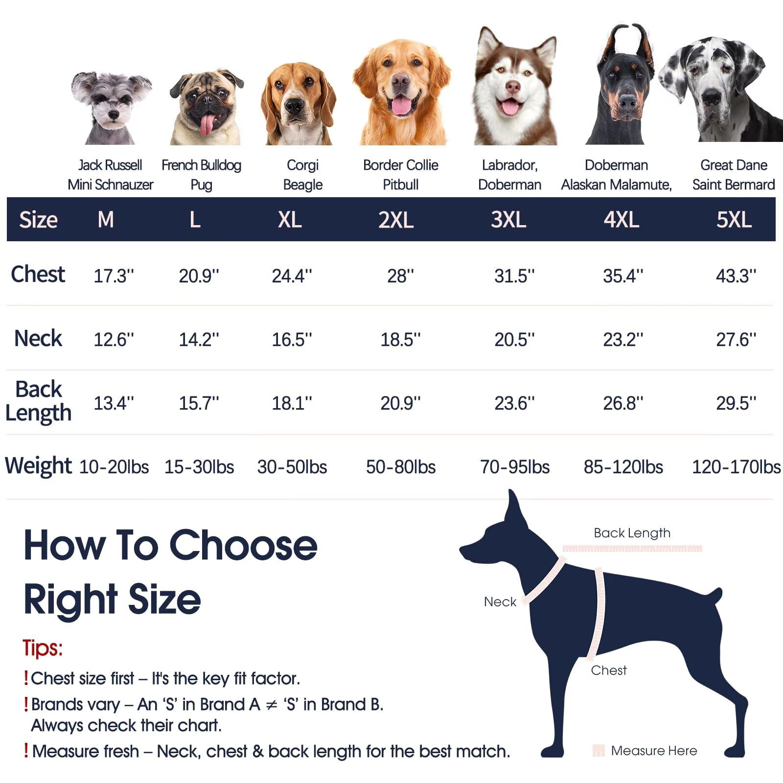 IECOii Great Dane Jumper,5XL Extra Large Sweater for Giant Breed Dogs in Winter,Turtleneck Cold Weather Knit Clothe,Machine Washable,Elastic Pullover Jumpers for Saint Bernard,Mastiff,Peacock Blue,5XL - Image 2