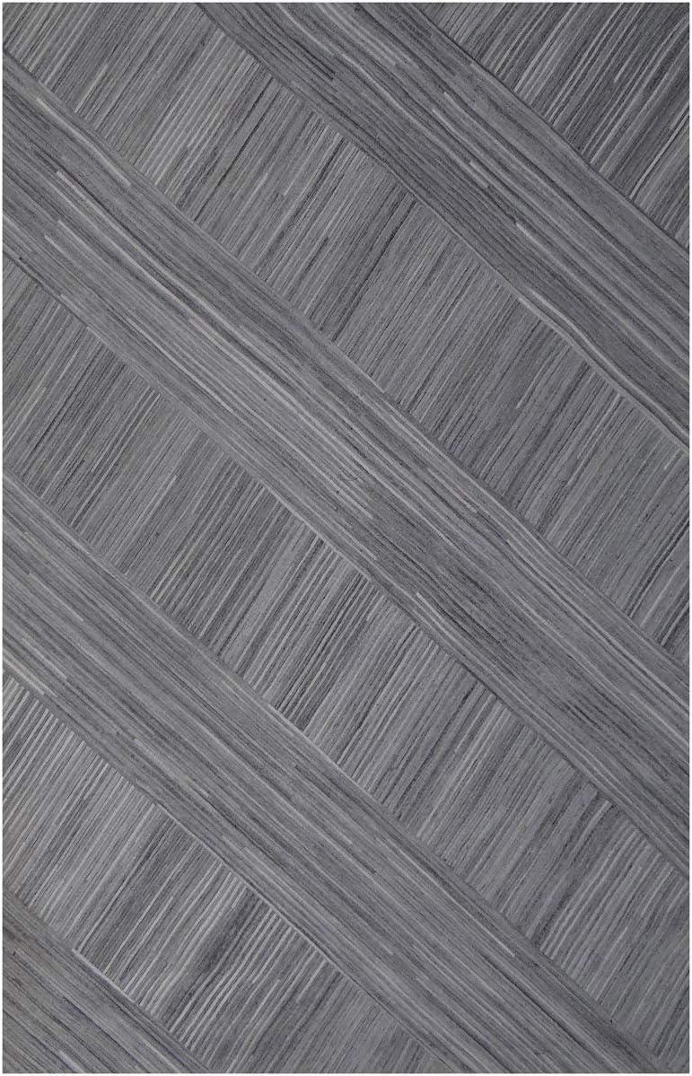 Moe's Charleston Rug 5X8 Silver in Silver Home & Kitchen