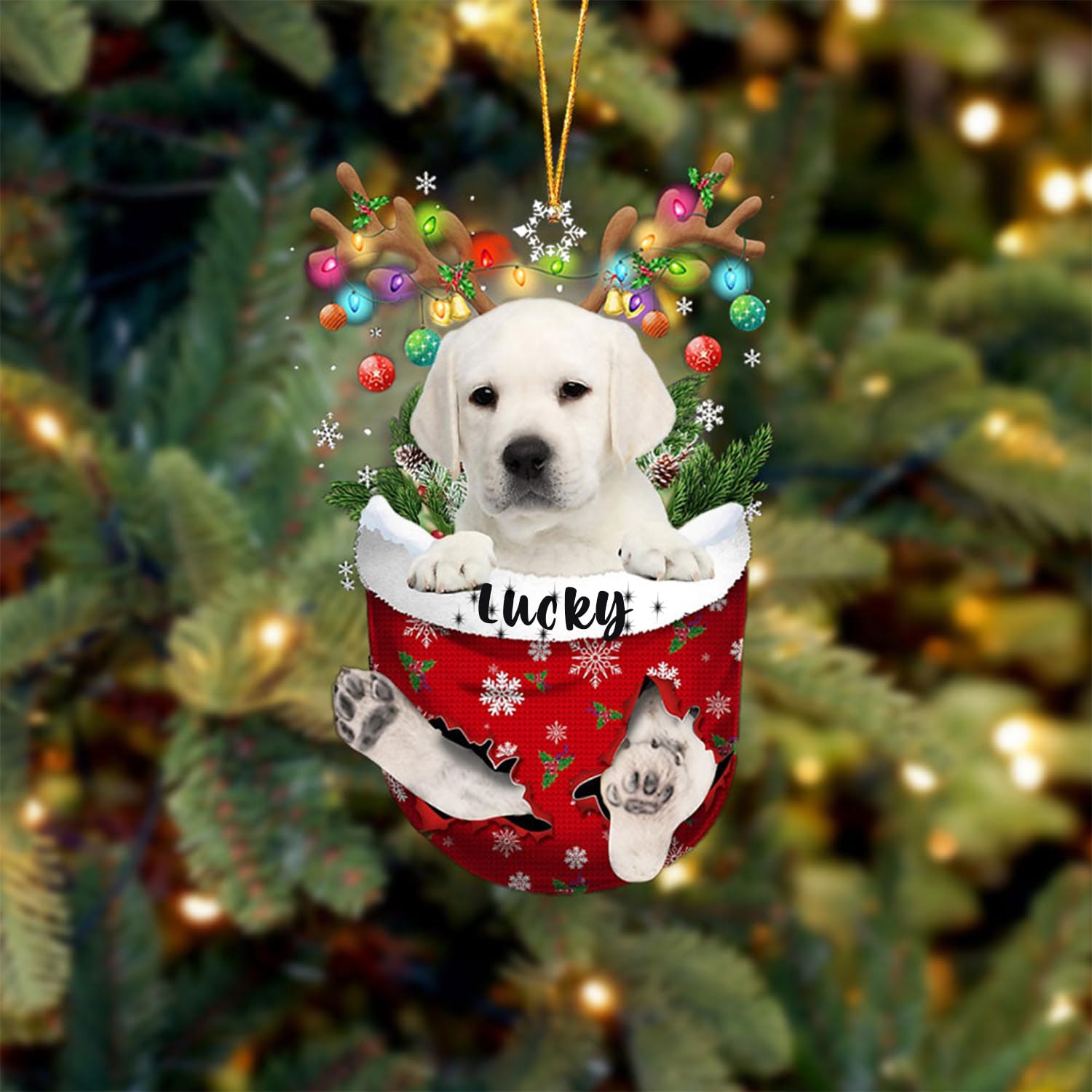 Pet Christmas Stuff For Dogs Pets At Home What Are The Dog Christmas Gifts  Gifts For Humans