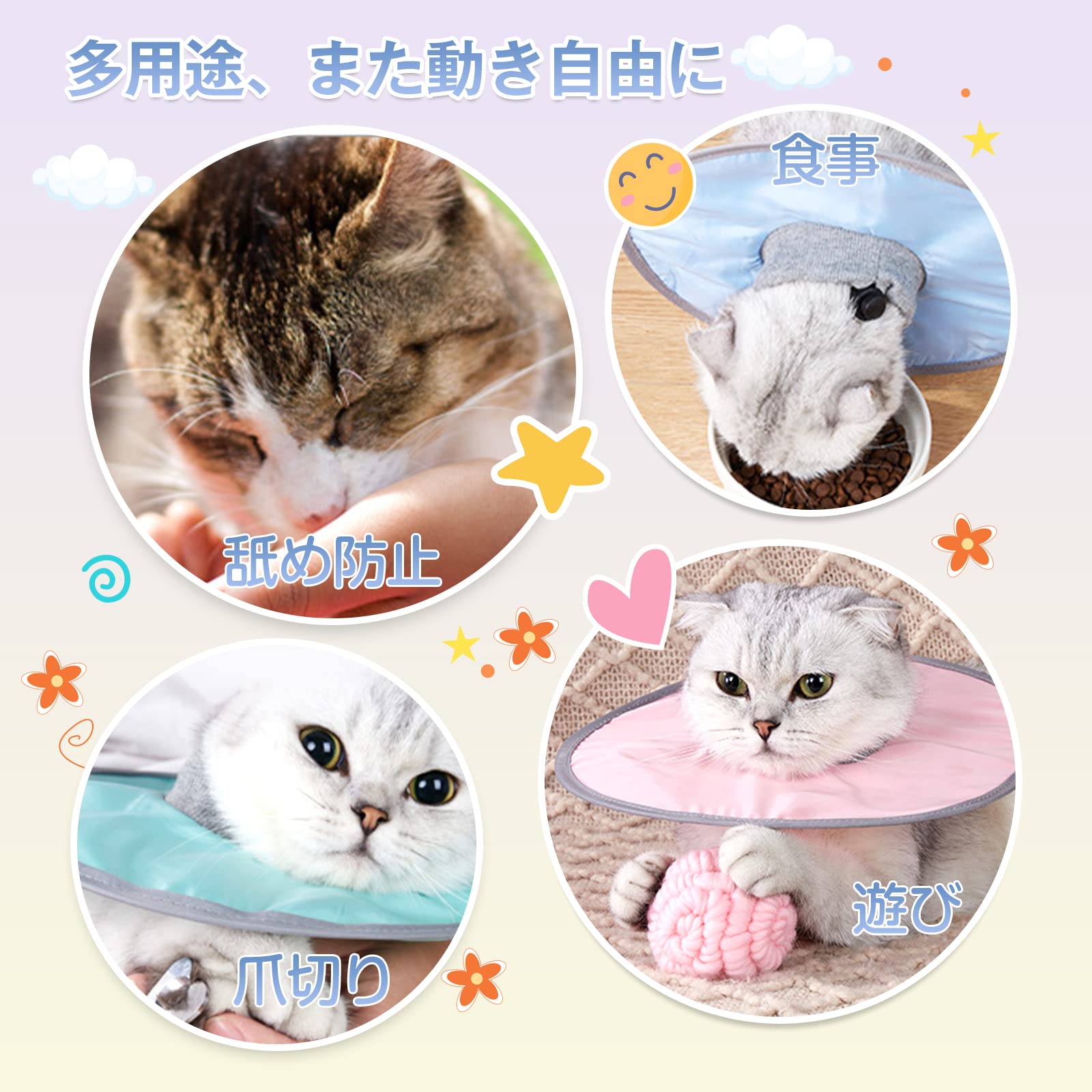 ピンクの猫 Amazon.co.jp: 飯川雄大 コレータークラブ ピンクの猫の小林さん