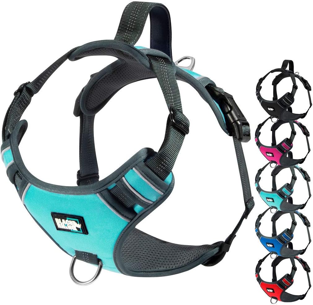 Black Rhino The Comfort Dog Harness with Mesh Padded Vest for Small Large Breeds