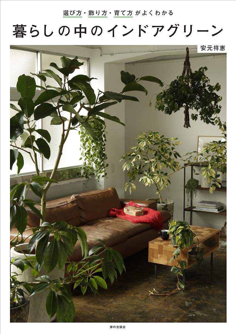 暮らしの中のインドアグリーン 選び方 飾り方 育て方がよくわかる 安元祥恵 本 通販 Amazon