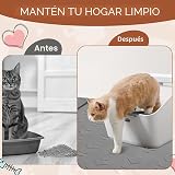 Ver la foto 6
