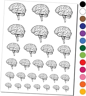 Human Brain with Cerebellum and Medulla Oblongata Temporary Tattoo Water Resistant Fake Body Art Set Collection - Black (One Sheet)