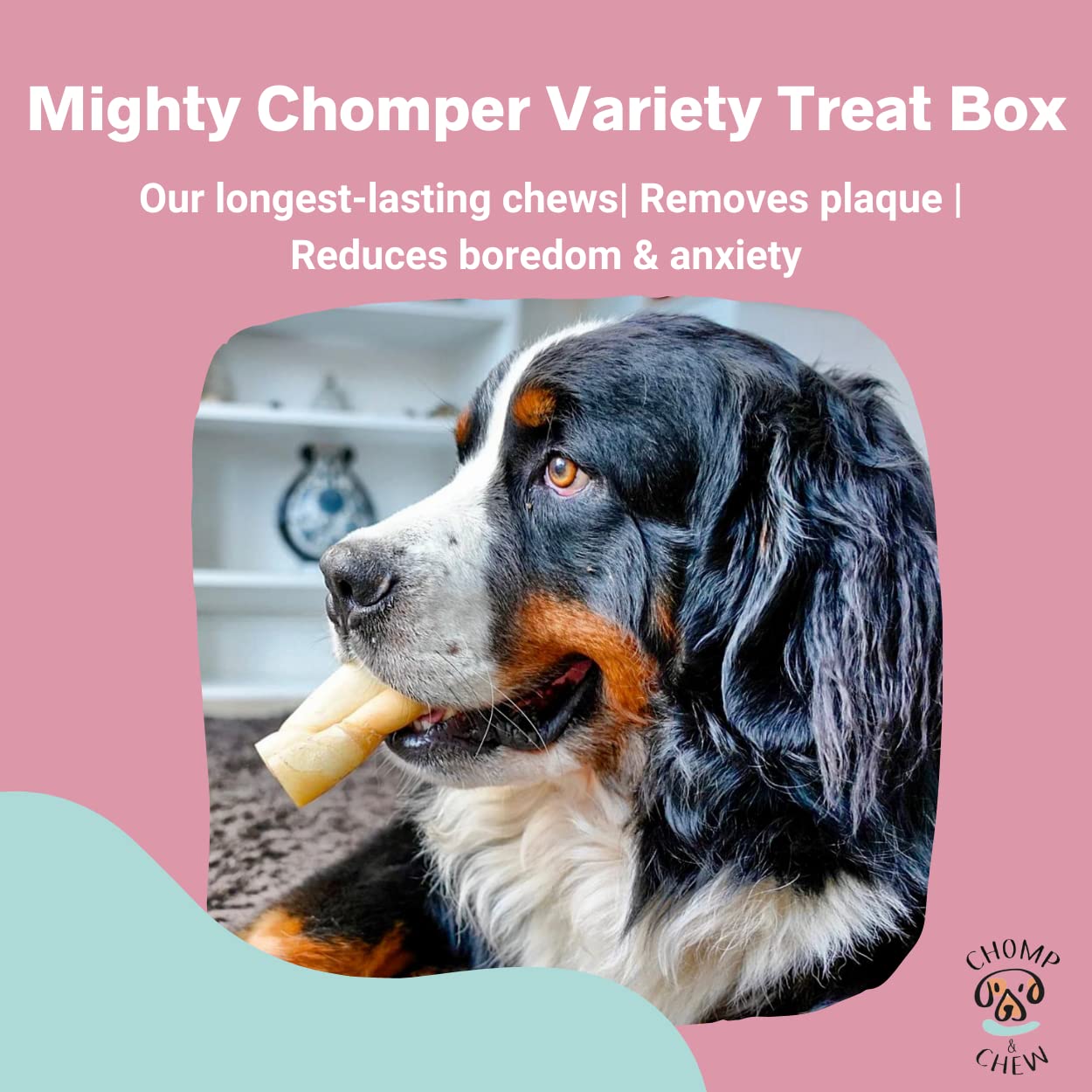 CHOMP & CHEW, brown - Image 4