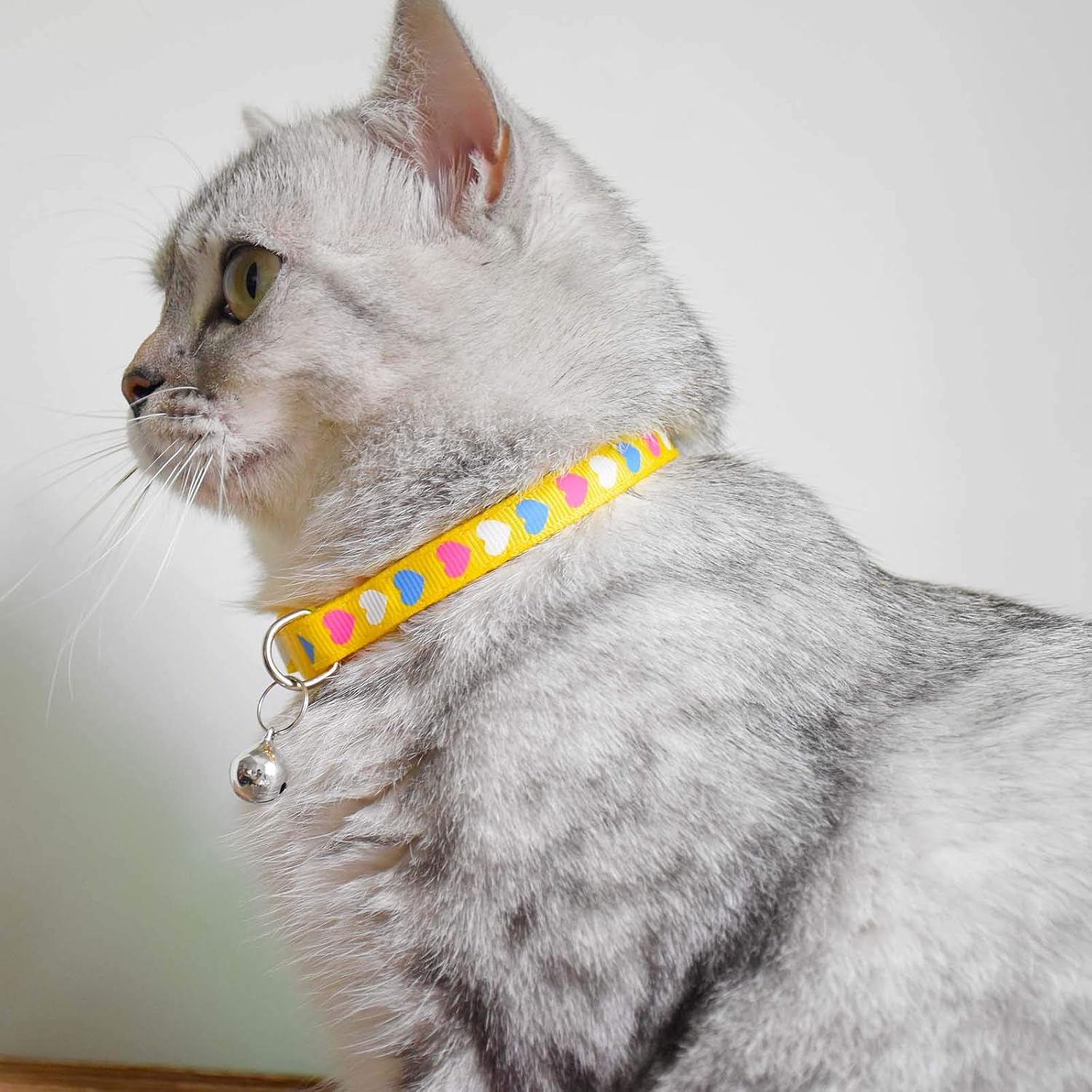 XPangle 6 Pcs Breakaway Cat Collar with Bell, Nylon Kitty Collars Mixed Colors Kitten Collars 7.5-12in (Love)