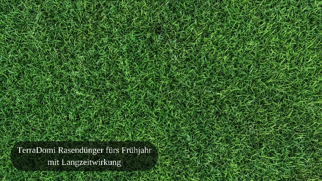 TerraDomi Rasendnger Frhjahr & Sommer 8 kg NPK 15-15-15 I Volldnger mit  Langzeitwirkung I verdrngt Moos I fr ber 400 m Rasen I  streuwagengeeigneter Dnger | staubarm & mit extra Schwefel : Amazon.de:  Garten