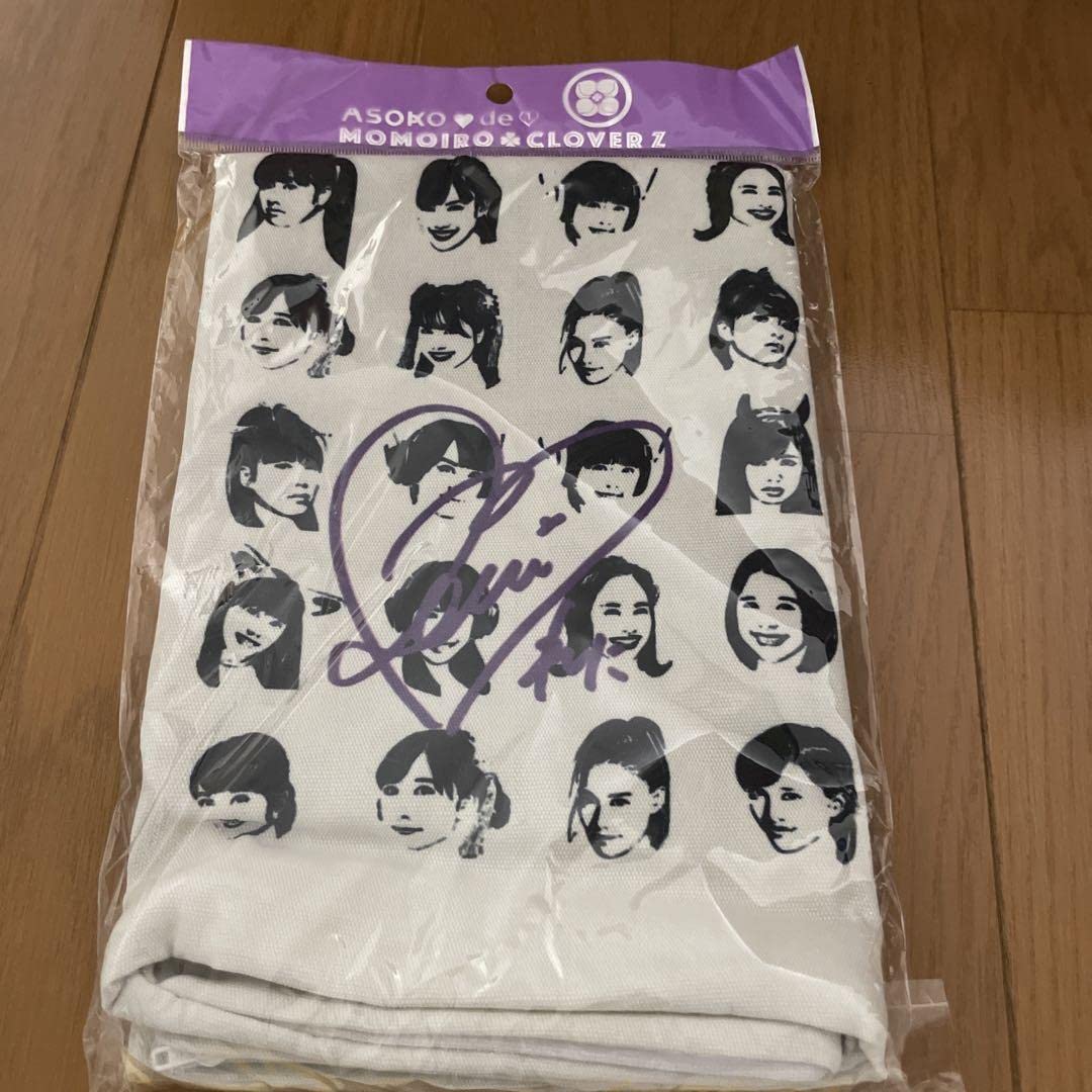 ももいろクローバーZ クッションカバー 2枚セット（集合セット）