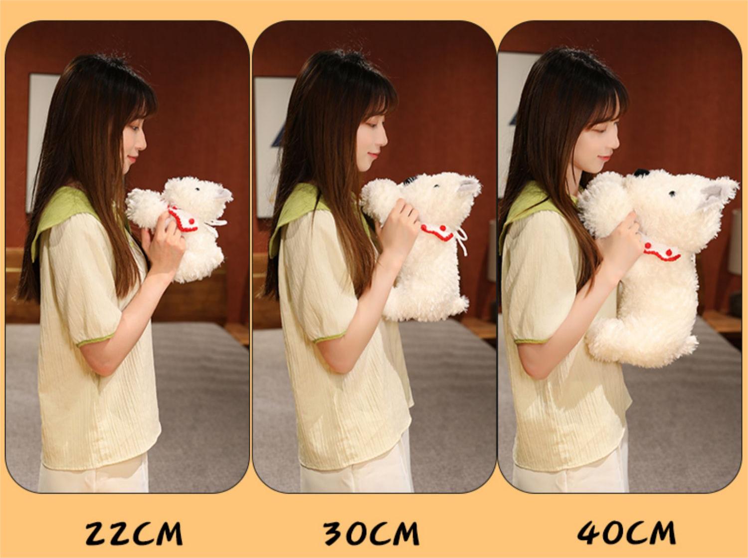 71RH8SGMoUL.jpg