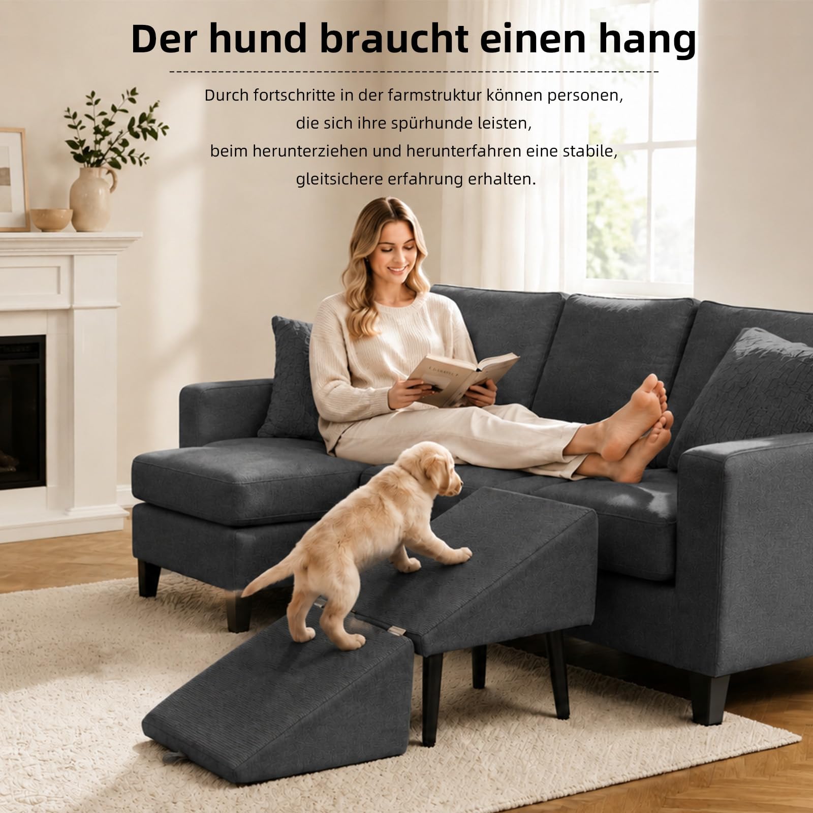 Klappbare Hunderampe mit Rutschfester Oberfläche, Leichte Hundetreppe für Bett, Sofa & Auto, Einstiegshilfe für Kleine, Alte und Verletzte Hunde (Schwarz)