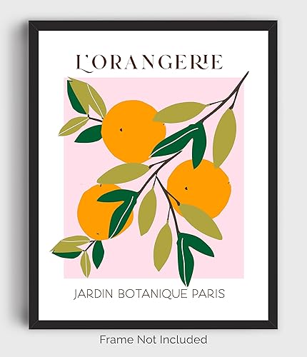 Miniatura 5 de Abstract Fruit No.10 Oranges Exhibition Wall Art Print. 11x14 UNFRAMED Modern Kitchen Wall Decor. Shades of Orange, Green, Pink on White.