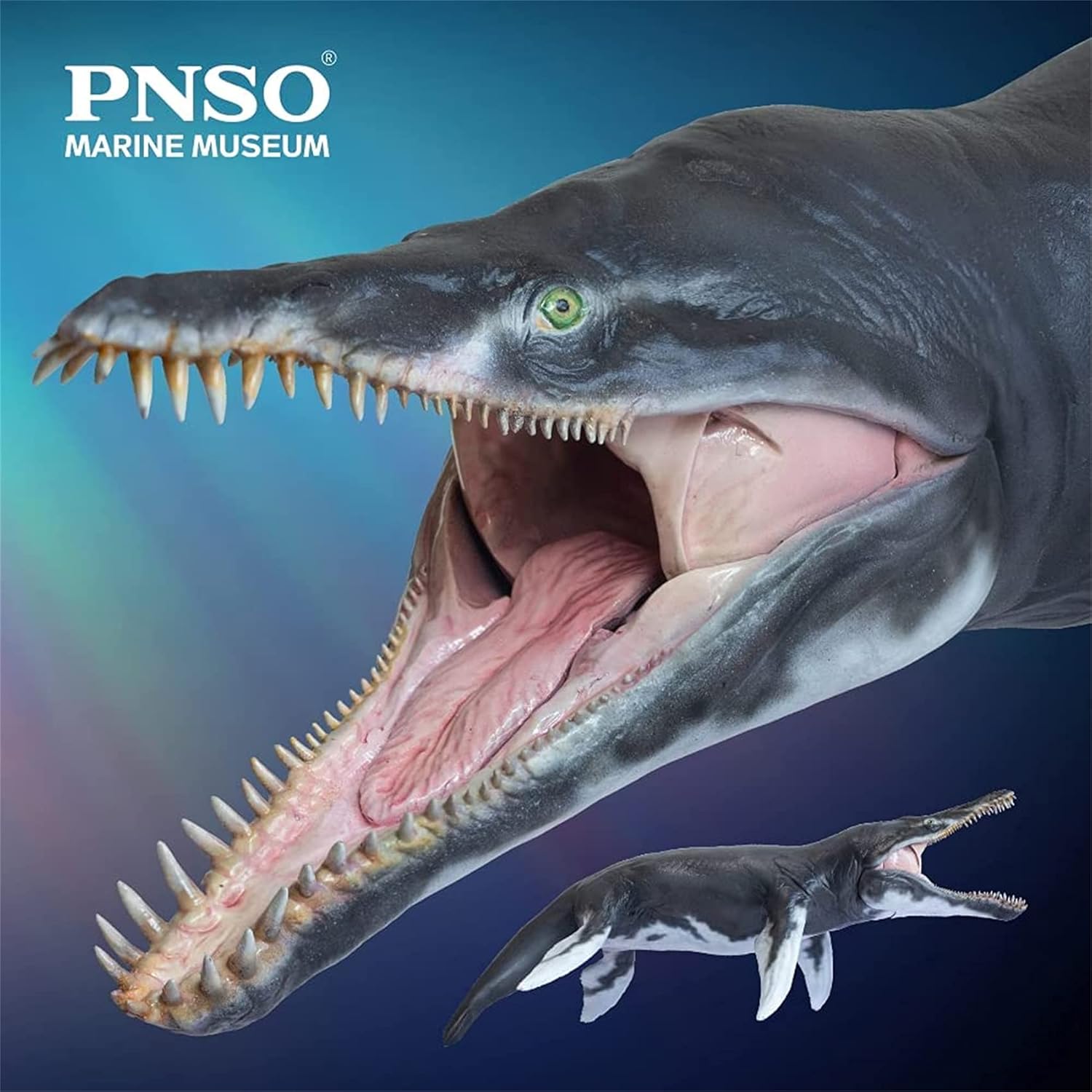 PNSO 1:35 Scale Kronosaurus Jeff Figure Realistic Plesiosaurus Pliosauridae Dinosaur PVC Collector Toys Animal Scientific Art Model Decoration Gift for Adult