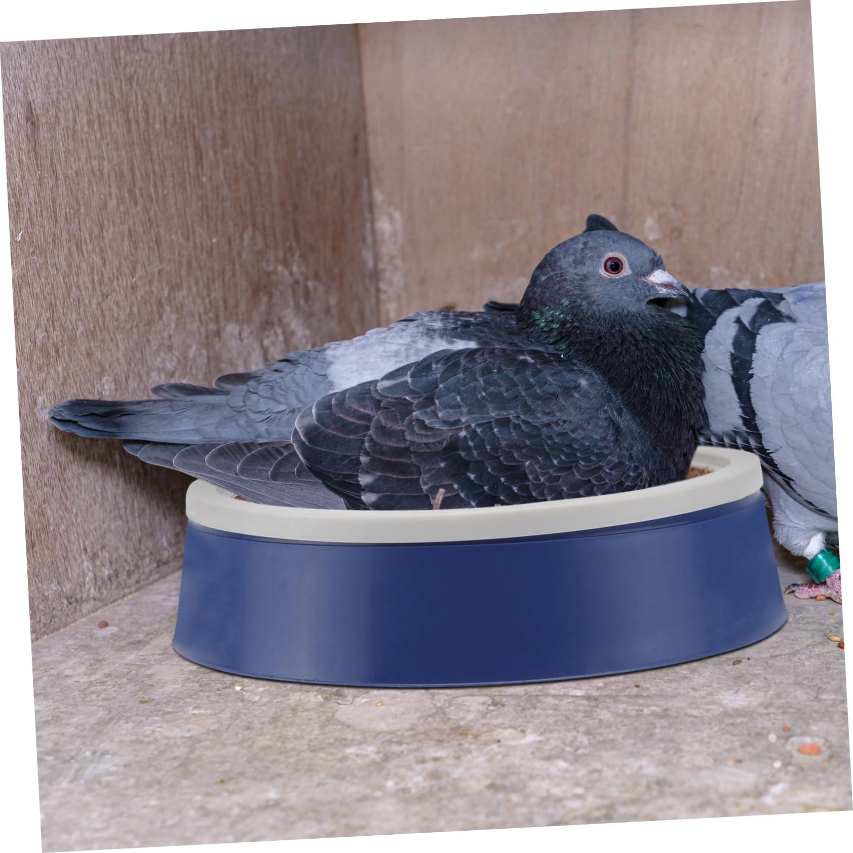 VICASKY 10 Pièces Nid Élevage pour Oiseaux et Pigeons Lot de Accessoire pour Cage et Élevage Nid Pratique pour Petits Oiseaux et Décoration