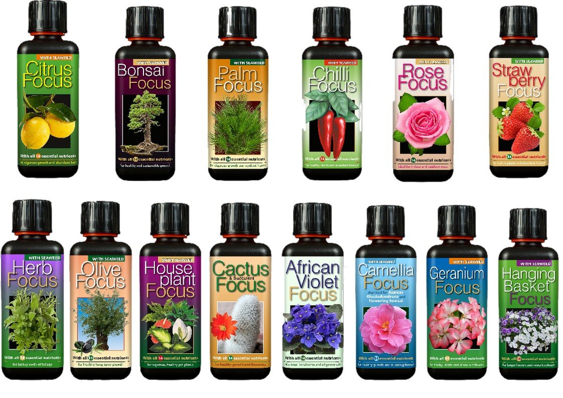 Houseplant Garden Grow Bloom Flowering Nutrient Rose Chilli Strawberry Palm Tree (Palm Focus 100ml)