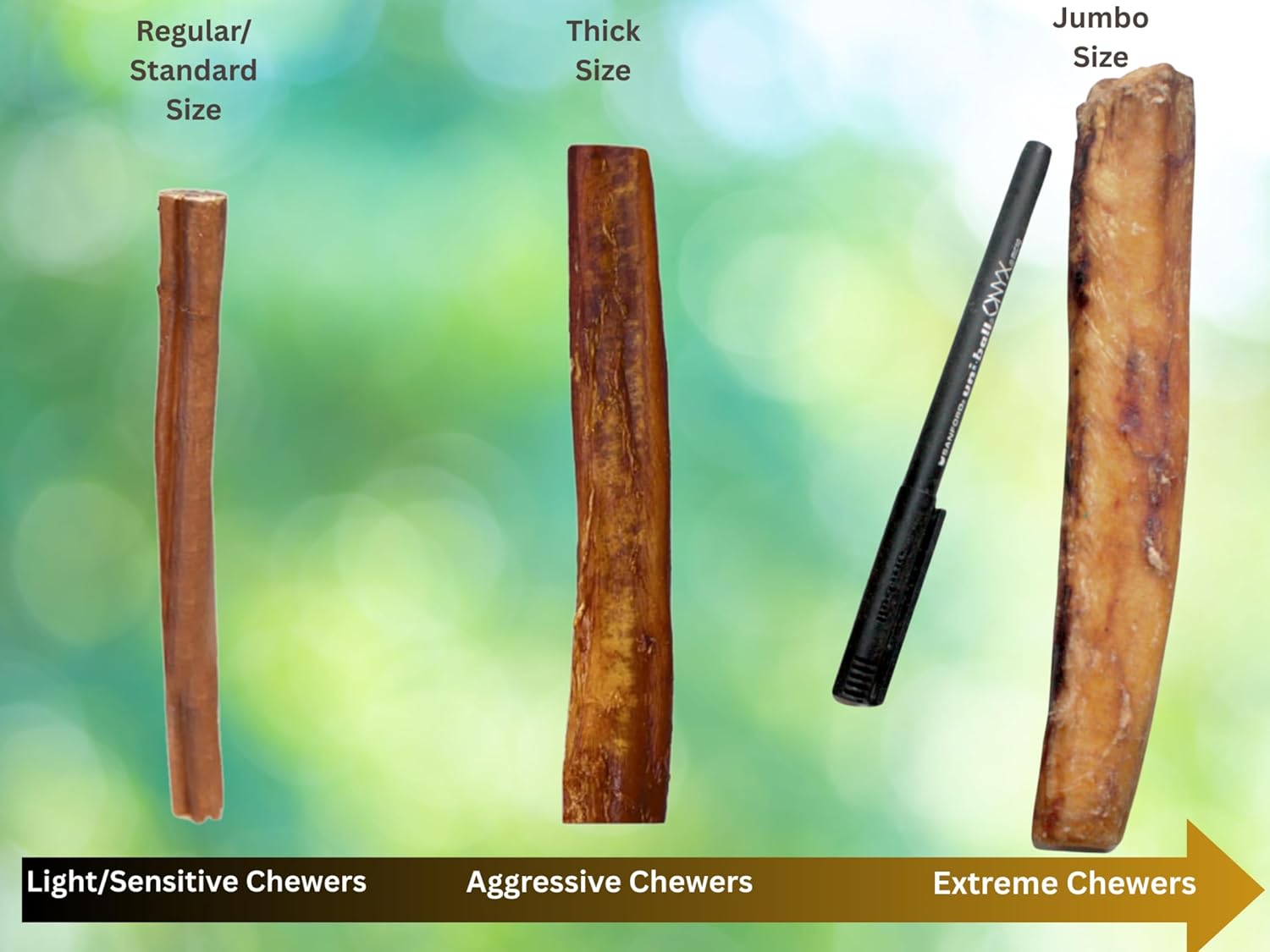 Thick 1 Pound of (6”) Bully Sticks for Large & Medium Dogs, for Aggressive Chewers (16 oz) Natural & Fully Organic, 100% Beef Pizzle Dog Chew, Fully Digestible Dental Treats (6 inch, 1 lb)