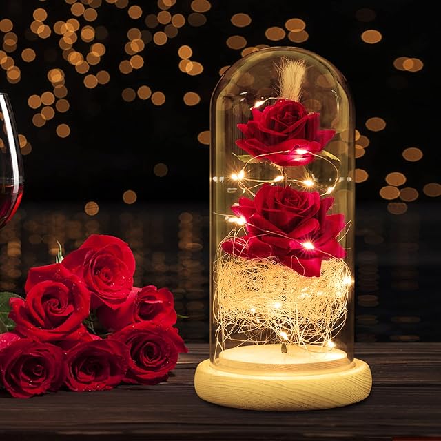 N&T NIETING Rose Gifts for Mum, Enchanted Rose with Led Light Artificial Rose in Glass Dome Best Gift for Girl Women on Valentine's Day Christmas Thanksgiving Anniversary Birthday