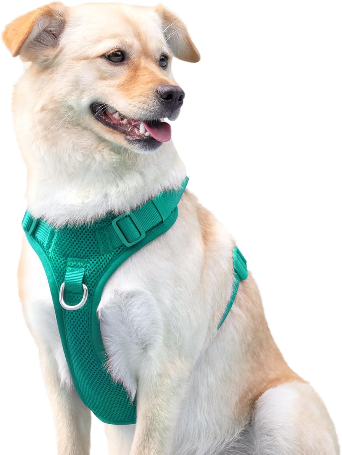 No Pull Dog Harness for Small Medium Large Dogs - Adjustable 2 Layer Mesh Dog Vest with Dual Clip, Escape Proof, Quick Release, Lightweight Breathable Mesh for Walking Hiking (MARRS Green,XL)