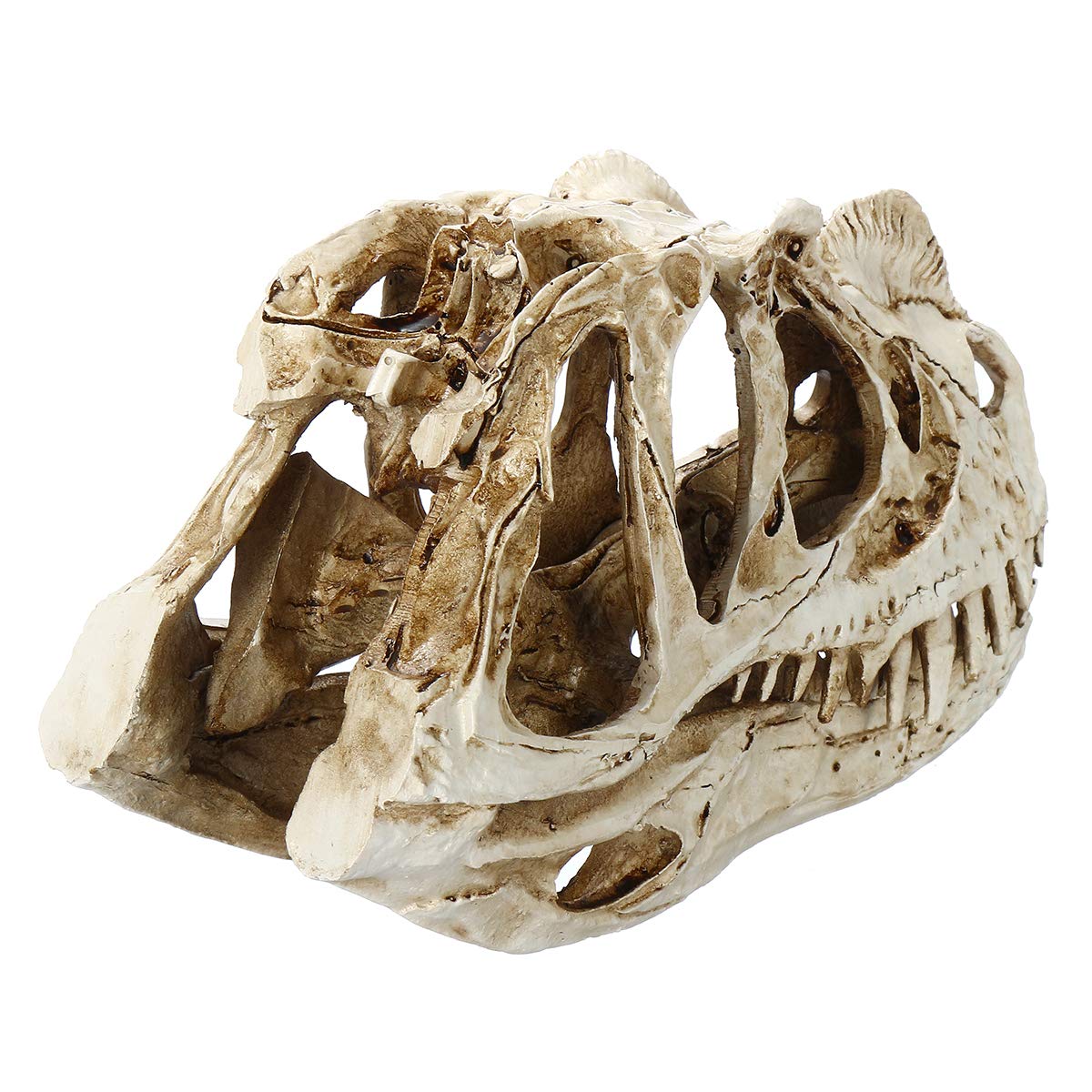 CCChaRLes Artisanat Résine De Dinosaure Crâne Fossile Modèle Bureau À La Maison Eau Aquarium Décorations De Fête