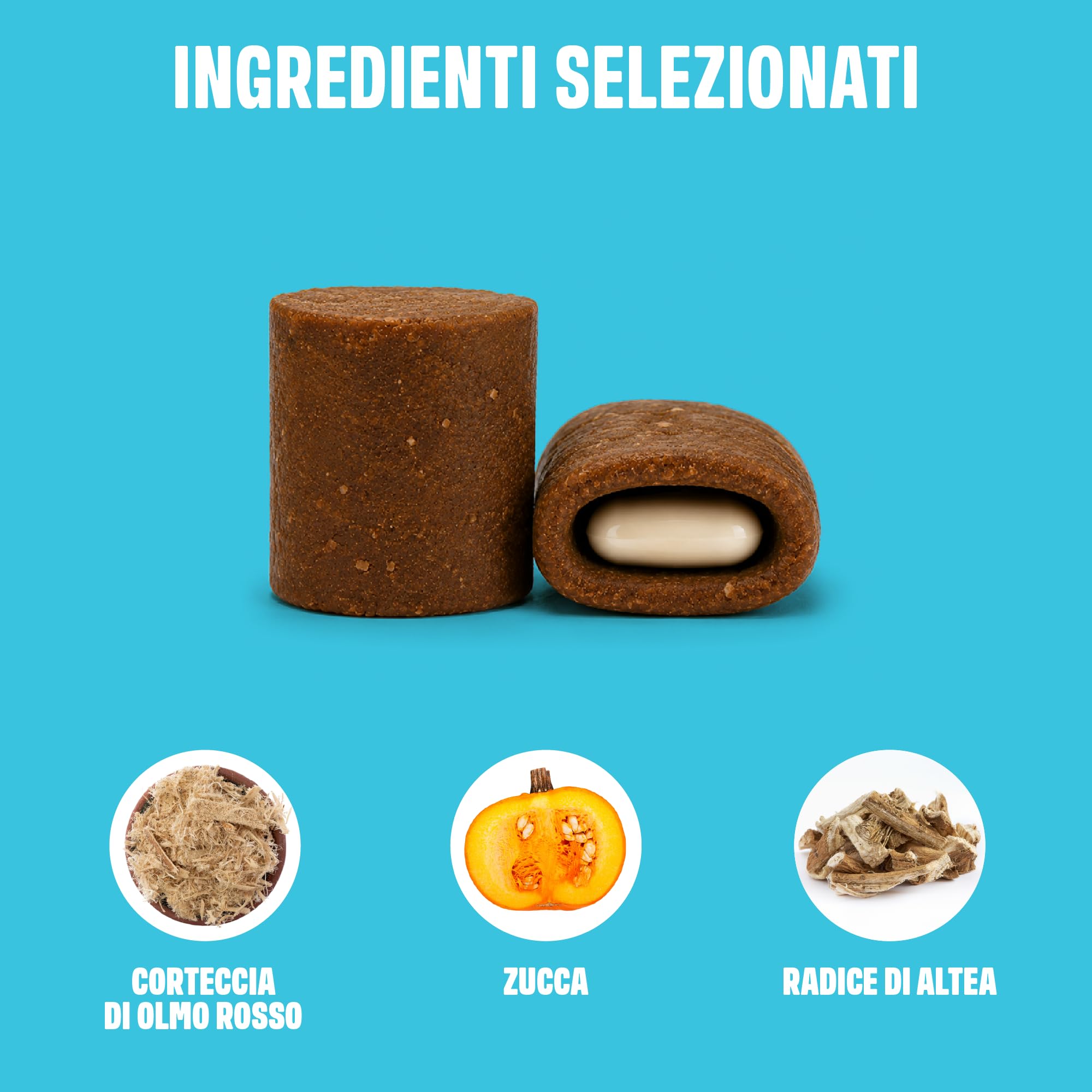 ivvi Pill Pockets per Cani – Snack Morbidi Porta-Pillole con Pollo, Zucca, Radice di Altea e Olmo Rosso – Texture Modellabile per Compresse e Capsule – 270 g / 60 Snack