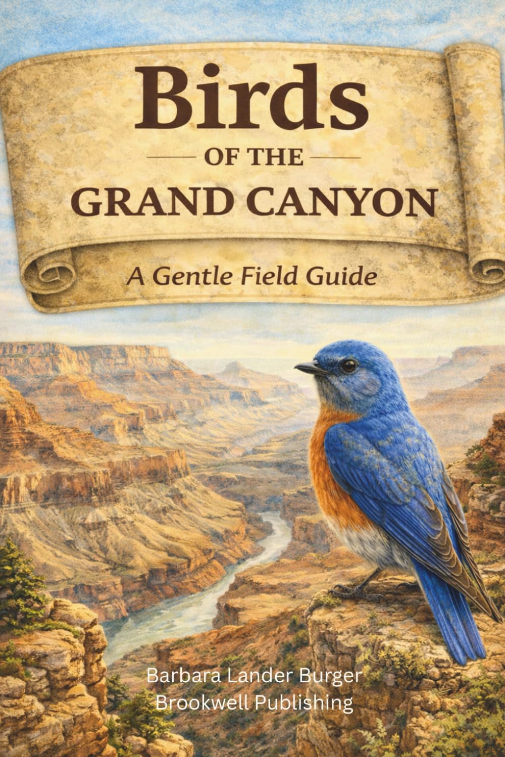 Birds of the Grand Canyon (Birds of America Identification Guides)