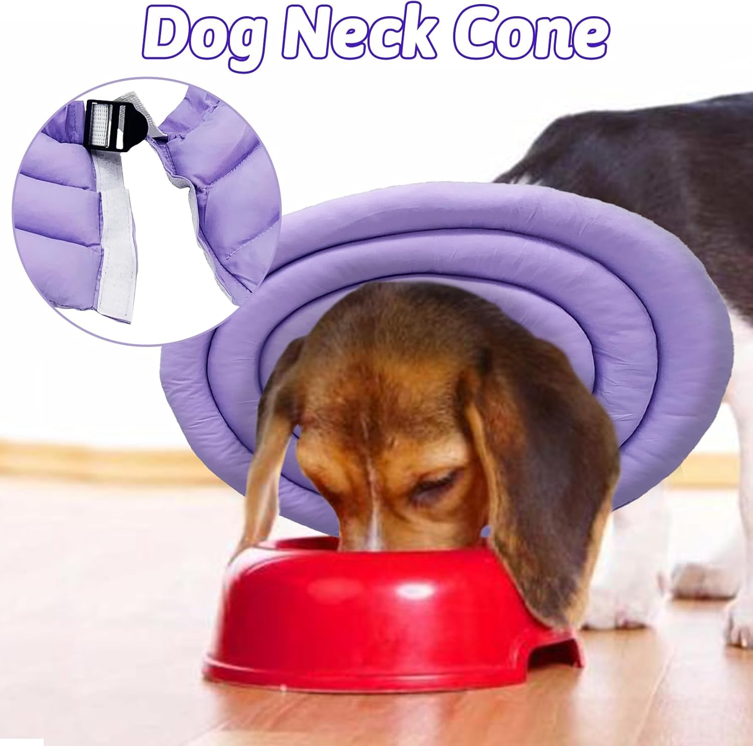 Collar De Perro Ajustable Y Correa Retráctil Para Perros Gra | Envío Gratis