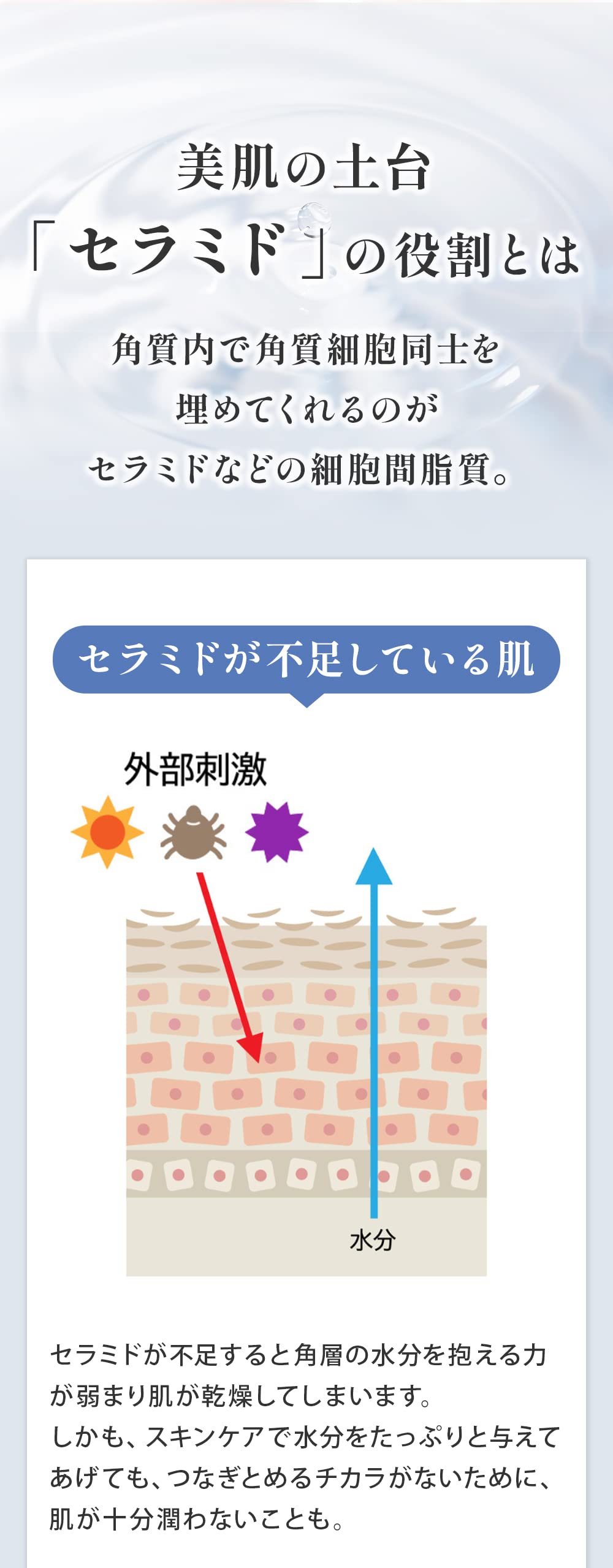 Amazon.co.jp: 【敏感肌/セラミド15％配合 】アピボタニカ ナノ