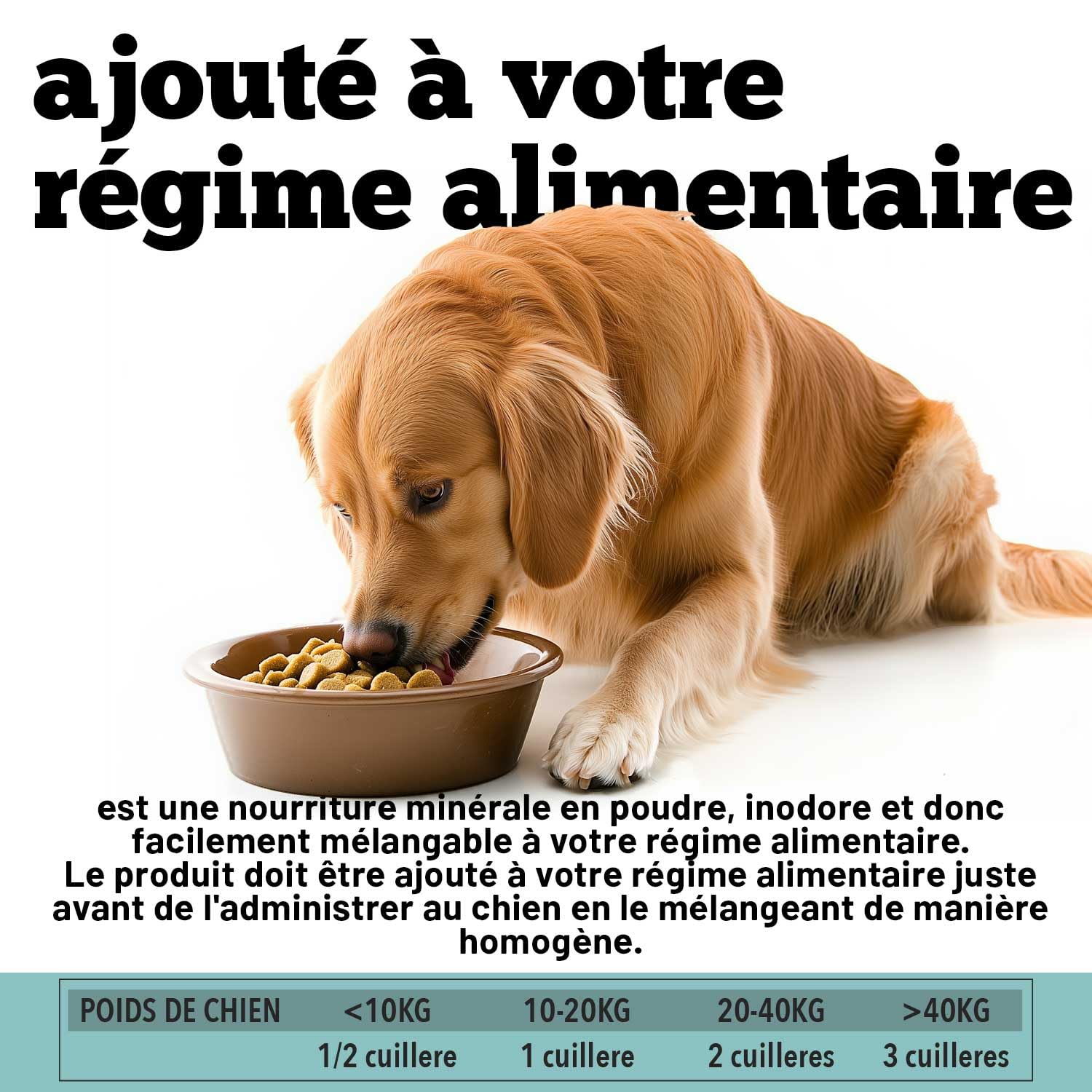 Multivitamines pour Chiens | Équilibre la Diète Maison et Barf | 12 Vitamines + 10 minéraux | avec Algue Spiruline | en Poudre | 220g