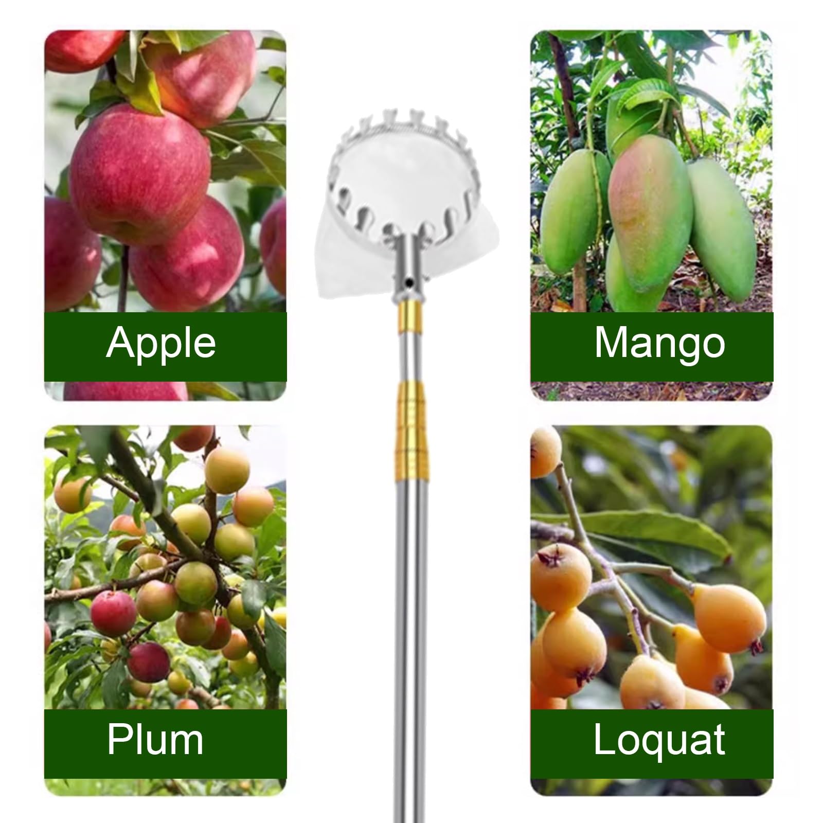 Perche à Fruits, Pince à Fruits télescopique en Acier Inoxydable, Outil de cueillette for poires, Citrons, Oranges, abricots et Verts(3m)