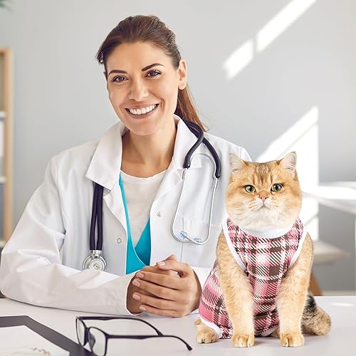 Miniatura 2 de Avont Paquete de 2 trajes de recuperación para gatos  Mameluco de gatito para gatos después de la cirugía, traje de recuperación quirúrgica de