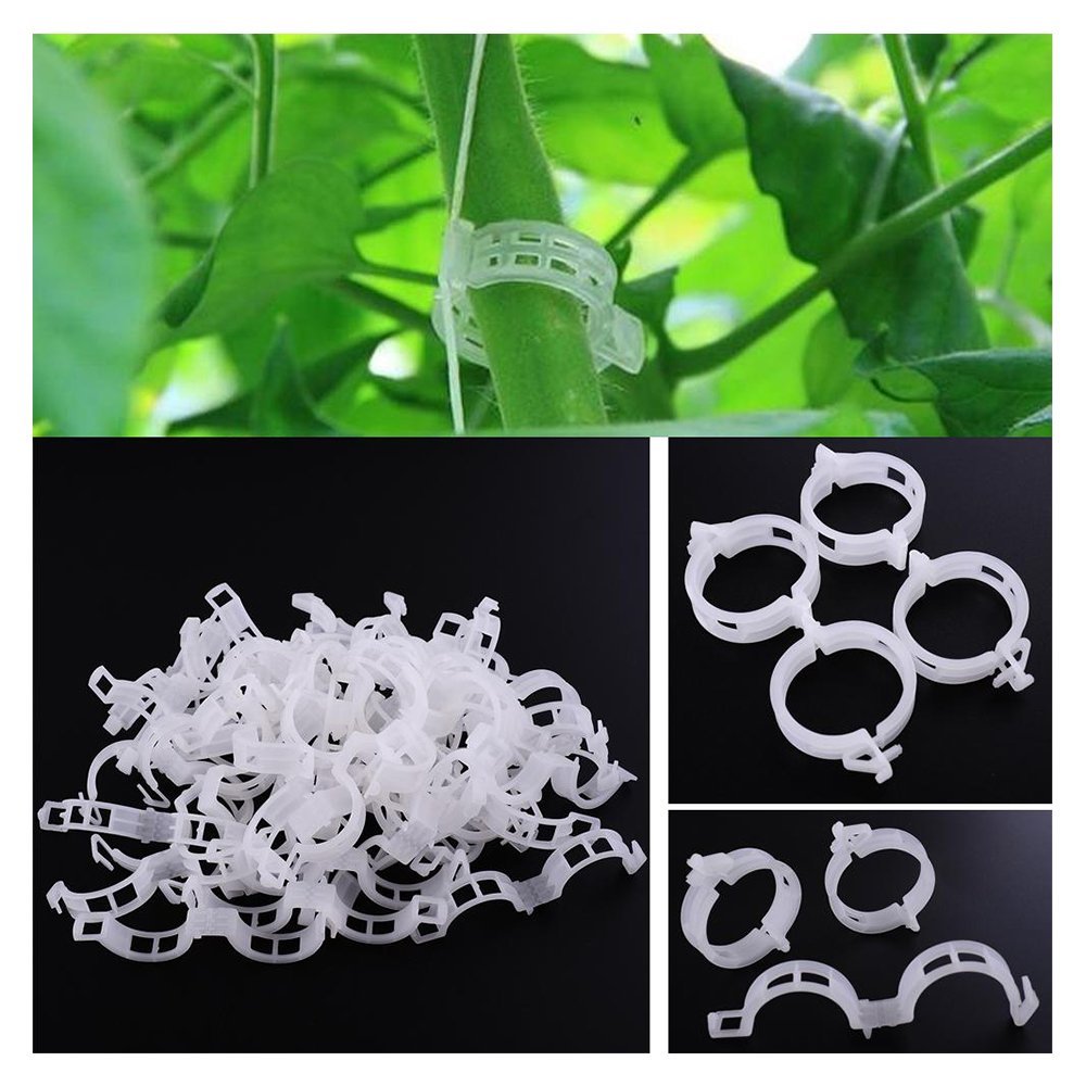 Lot De 100 Clips De Support Pour Plantes, Tomates, Attaches