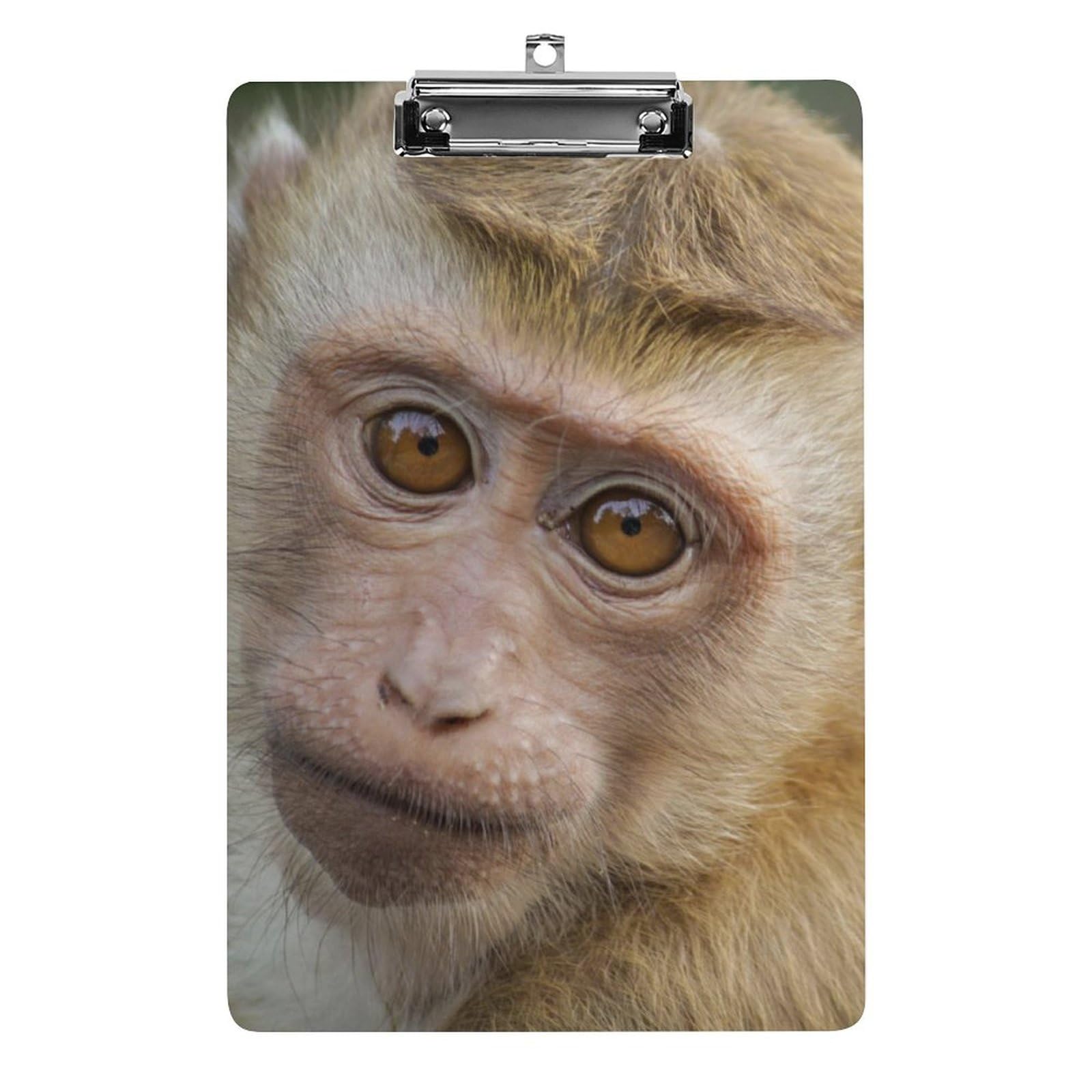 Porte-bloc A4 avec pince à profil bas pour organiser vos documents de bureau - 8