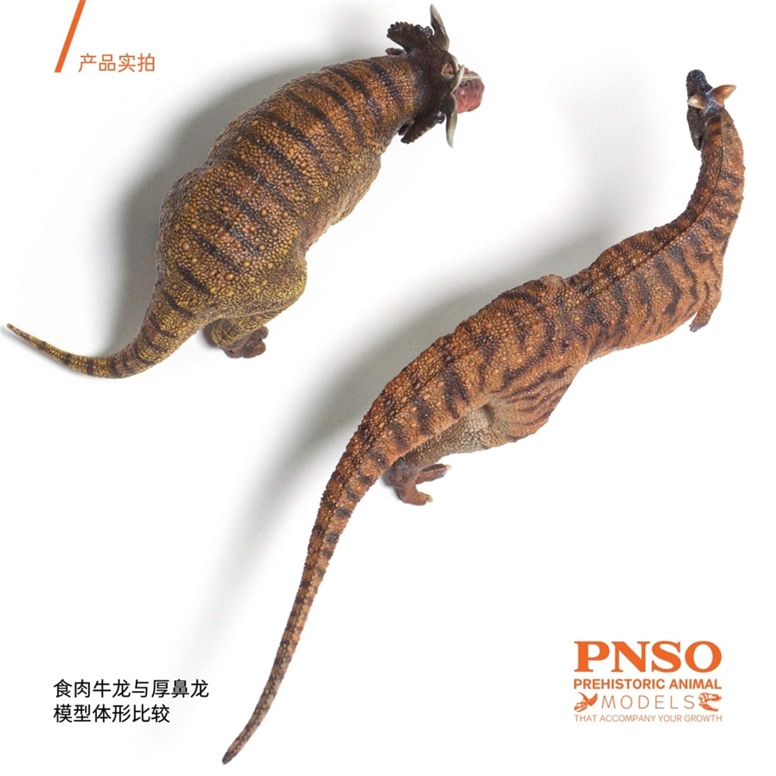 Amazon | PNSO 成長シリーズ 36 カルノタウルス 恐竜 フィギュア