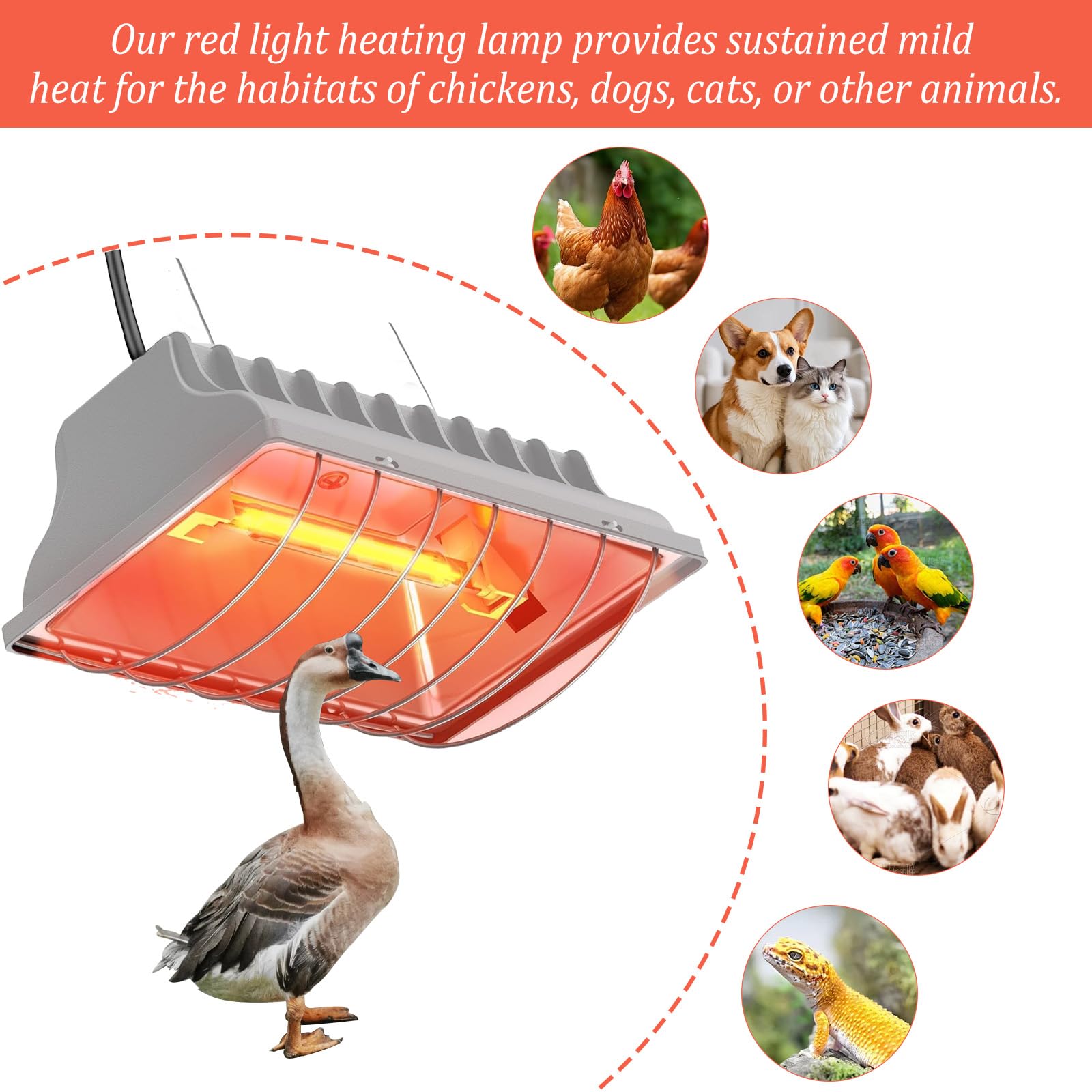 Lampe chauffante pour poussins, 250 W, avec interrupteur économique et câble d'alimentation de 1,8 m, lampe infrarouge thermostatique automatique pour poules, canards, porcelets, chiots, bétail