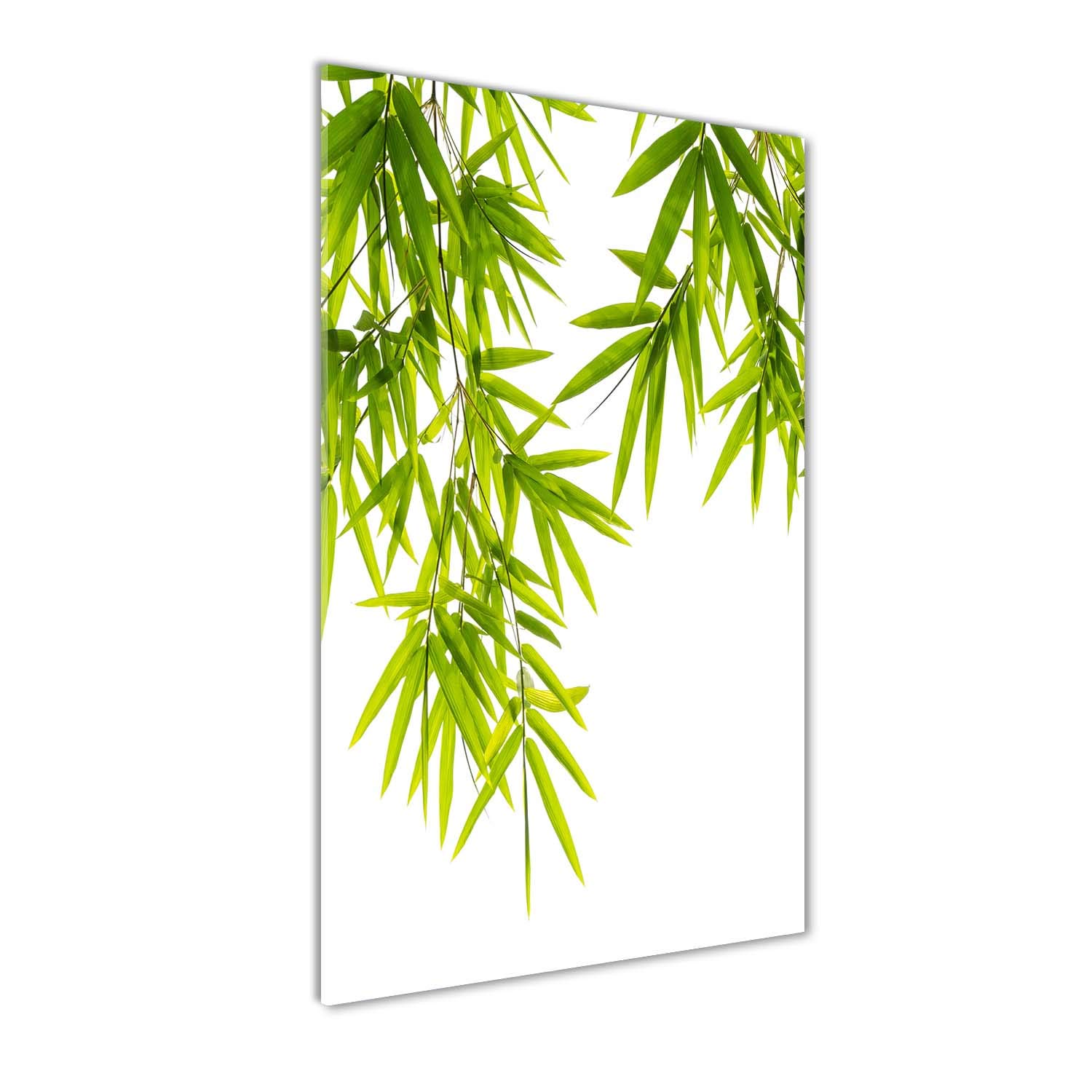 Tableaux pour la mur en verre acrylique Tulup 50x100 cm avec motif bambou vert