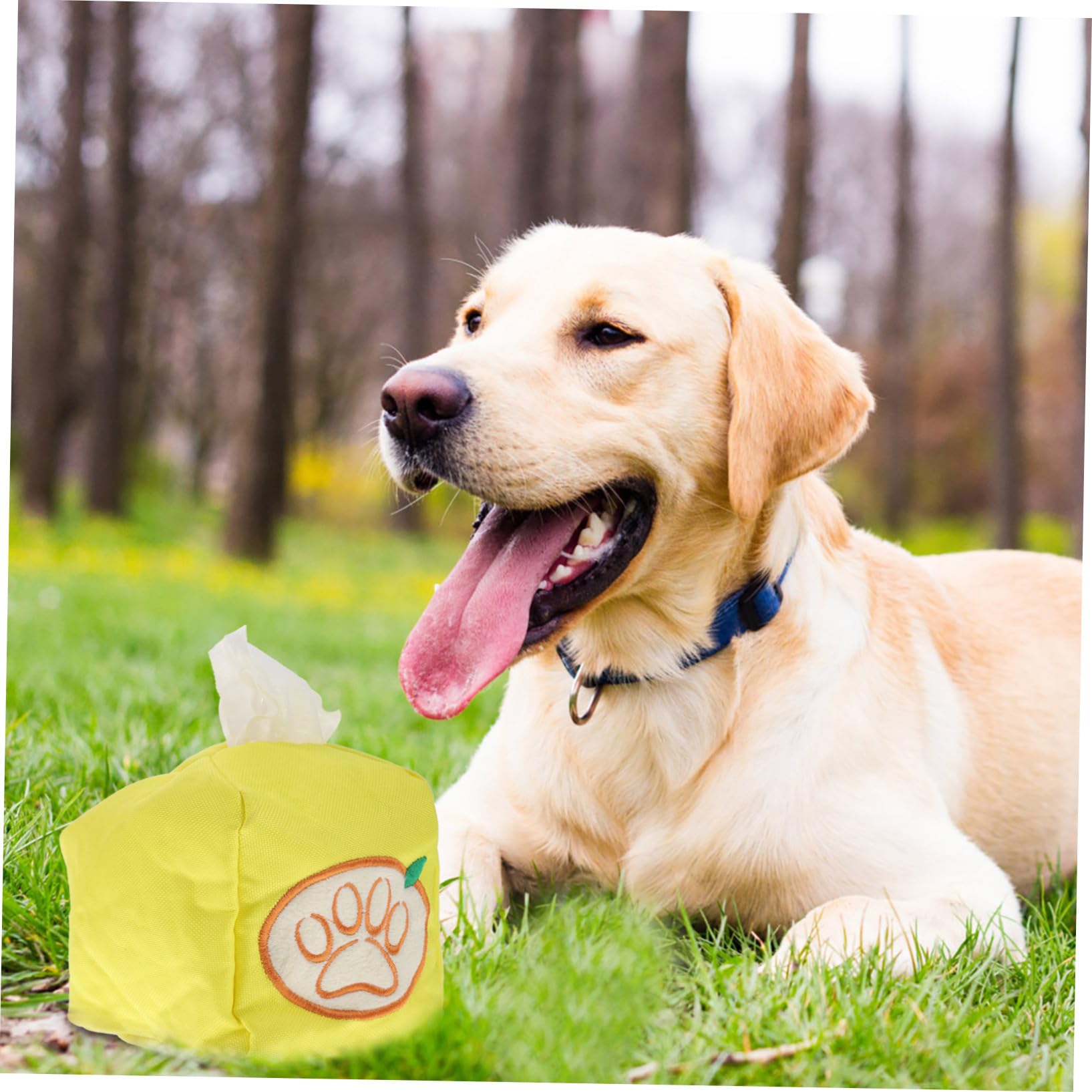 POPETPOP 3stücke Pet Snuffle Toy Für Hunde Lustiges Foraging Spielzeug Geruchstraining Für Und Kleine Hunde Um Abzubauen Und Instinkte Zu