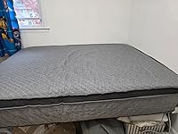 Review Image by Xiao Chen Xiao Chen