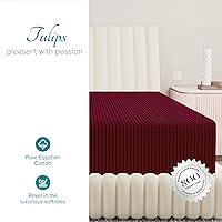 Vista 15 de Carressa Linen Sábana bajera ajustable 100% algodón tamaño King – Sábana bajera de 800 hilos King de algodón, lujosamente suave, refrescante