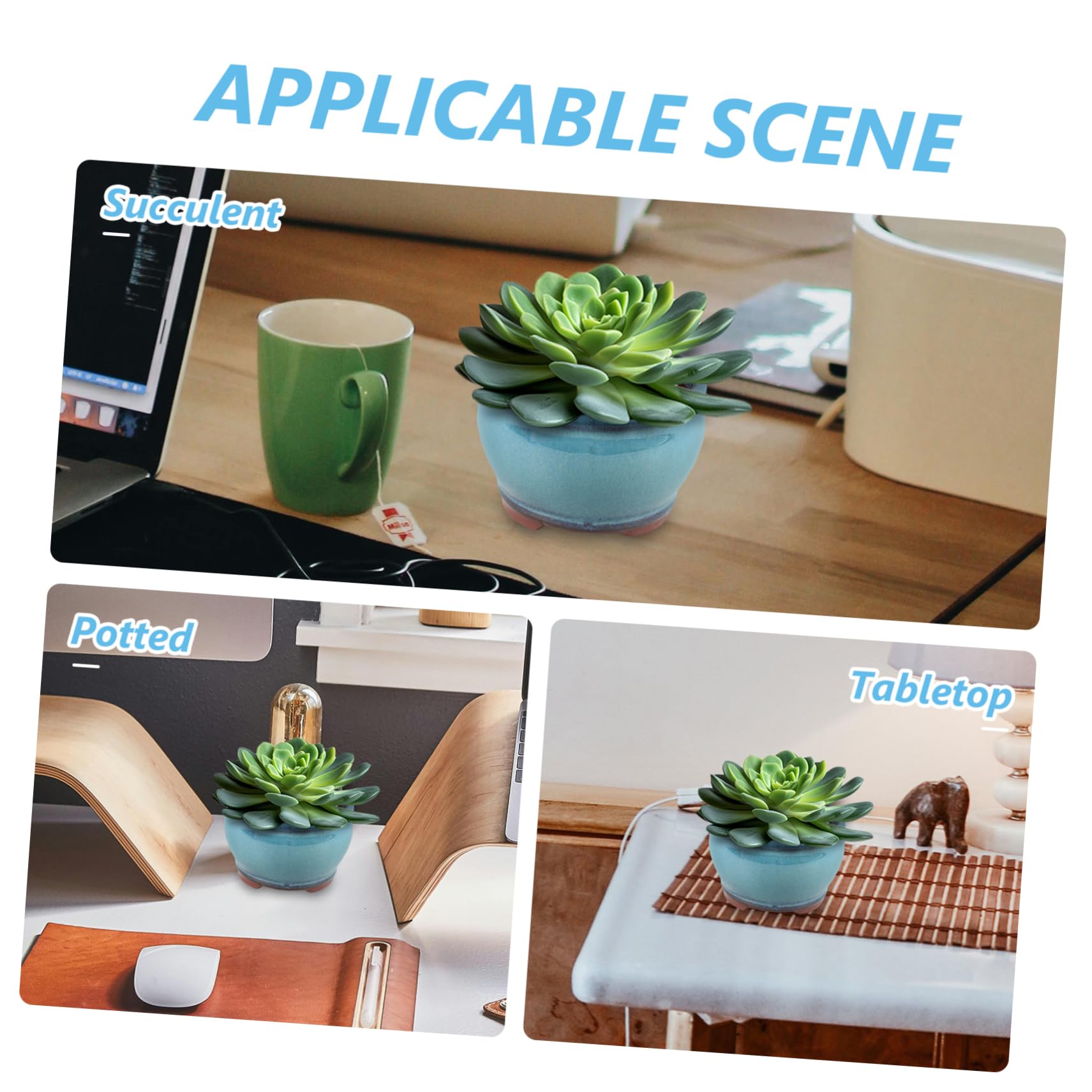 Supvox 5st Saftige Spargel-topfpflanze Blumentopf Dekorativer Pflanzer Sukkulenten Pflanzen Topf Kleiner Pflanztopf Sukkulententopf Desktop-Topf Für Sukkulenten Kaktustopf Lila Ton