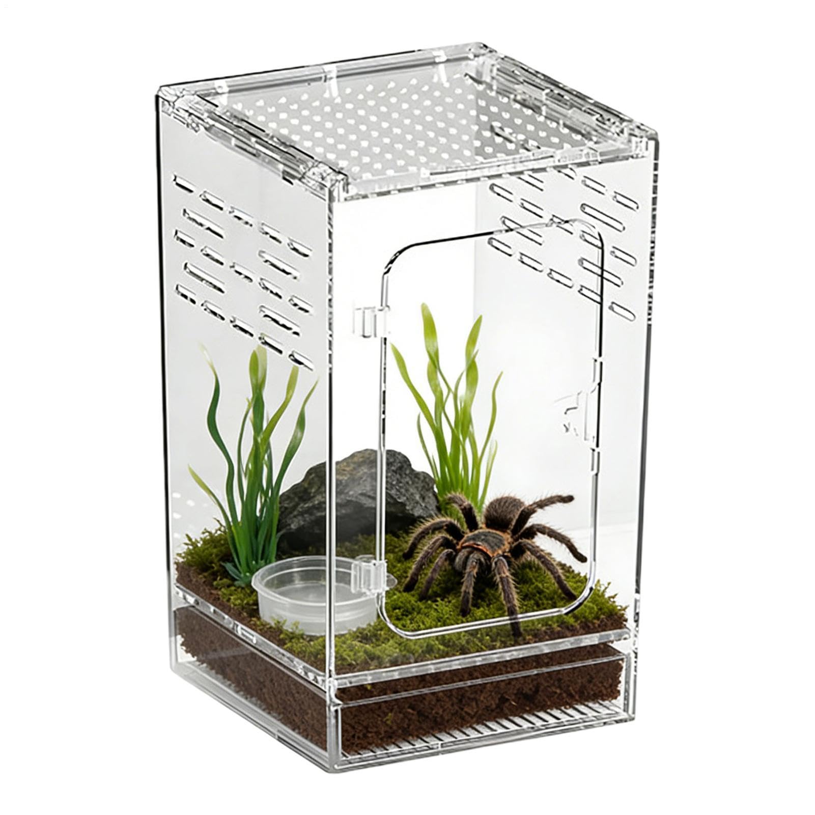 Siedlisko dla skakuna - Akrylowa pełna transparentność oddychające terrarium | Małe Terrarium dla Gadów, Modliszek, Żab,Jaszczurki, żaby, węże, kraby pustelniki, małe żółwie