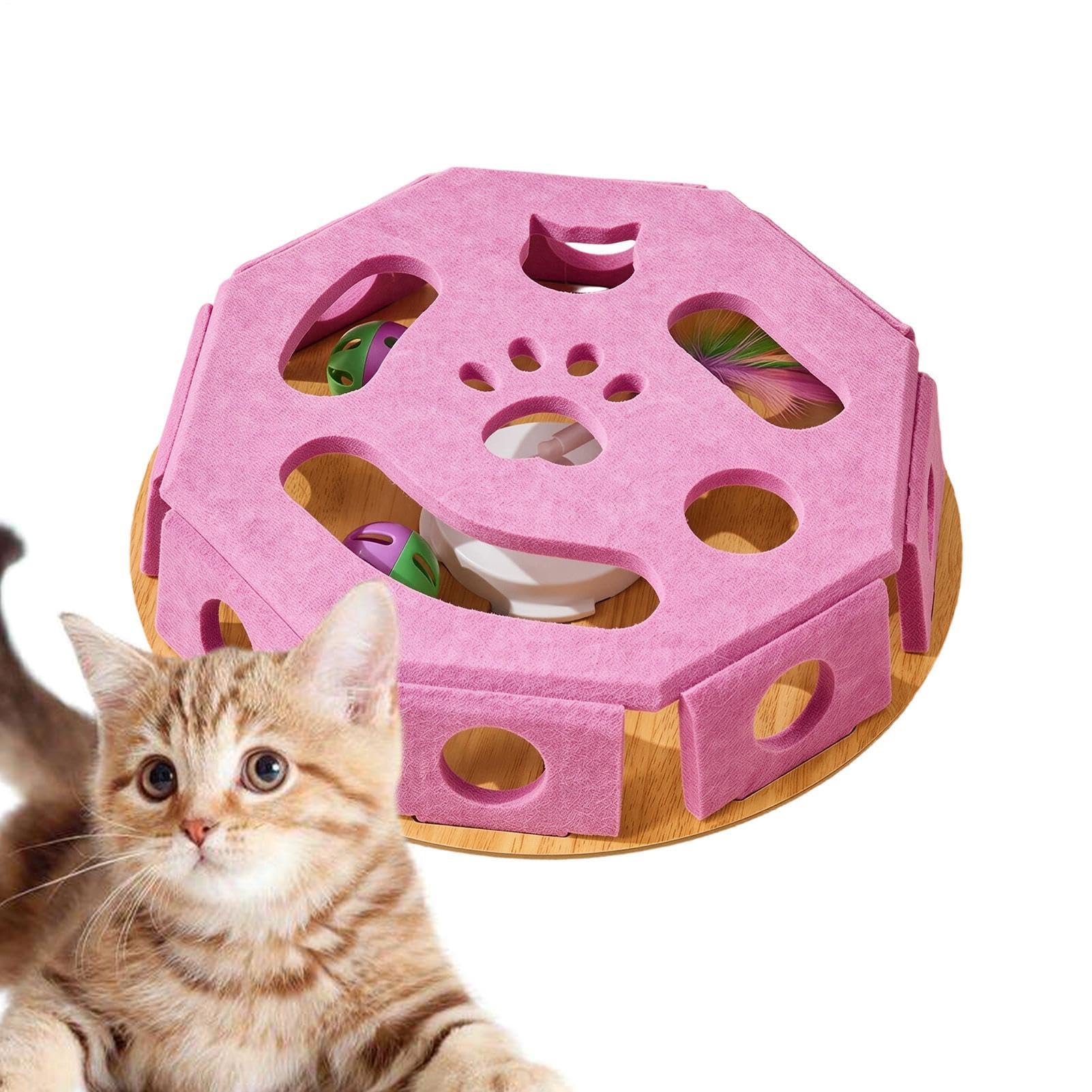 Scatola Puzzle Unghie Gatto Giocattolo Educativo Tagliaunghie per con