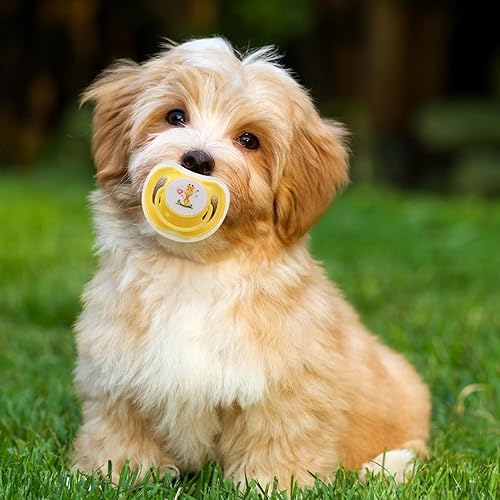 Miniatura 2 de Kitten Pacifier Set, 4Pcs Cute Safe Silicone Puppy Pacifier with Dust Cover, Soothing Teething Chew Toys for Pets