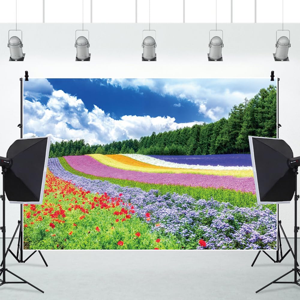 3,6 x 3 m wiosenne kwiaty kolorowe tło czerwone fioletowe dzikie kwiaty pola niebieskie niebo białe chmury zielony las drzewa fotografia tło ślub urodziny przyjęcie dekoracja