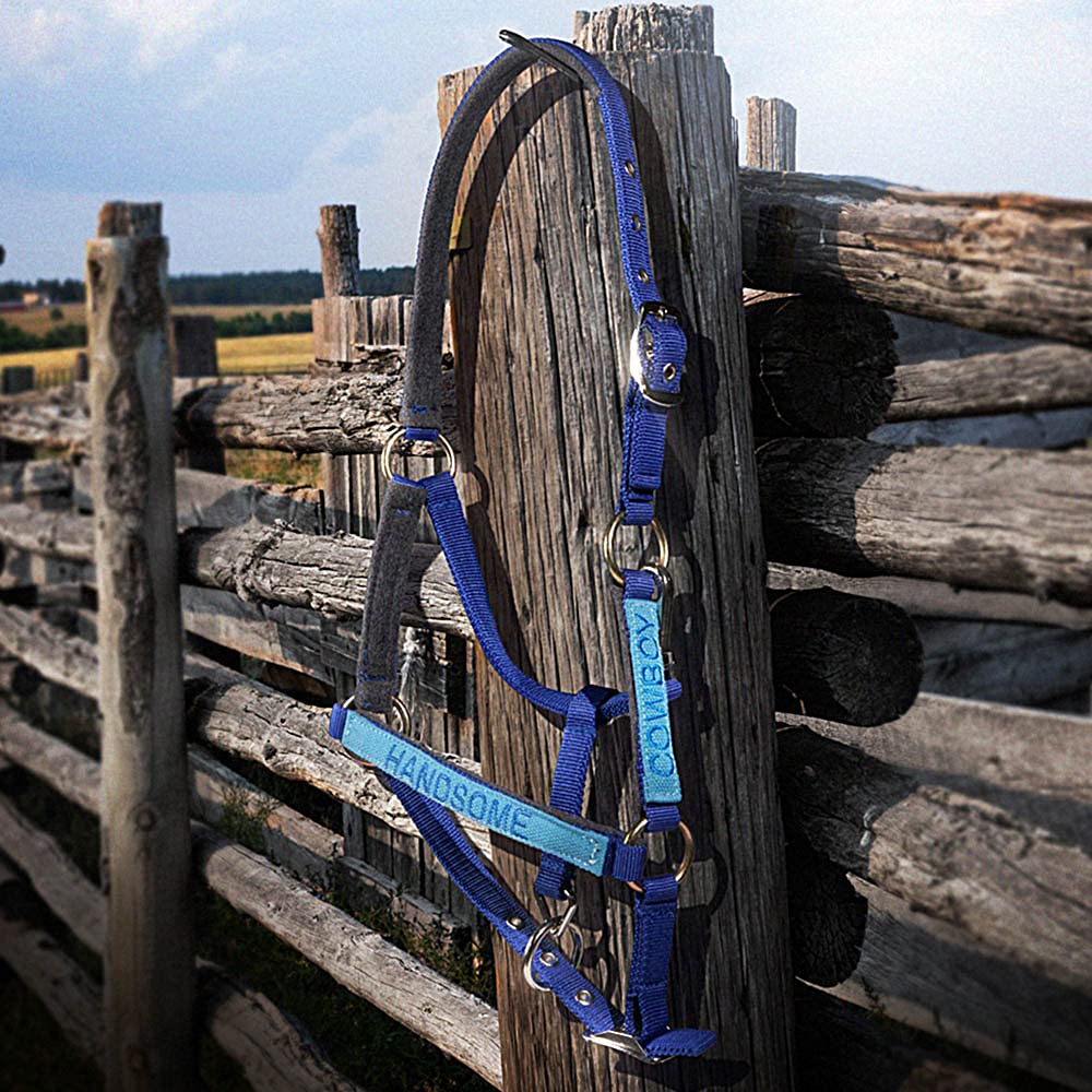 Pferdehalfter mit Namenstickerei am Nasenband - Personalisiertes Halfter mit Namen - Führleine - Führleine - Führleine - Halfter mit Gravur - personalisierte Pferdetackle für dein Pferd oder Pony
