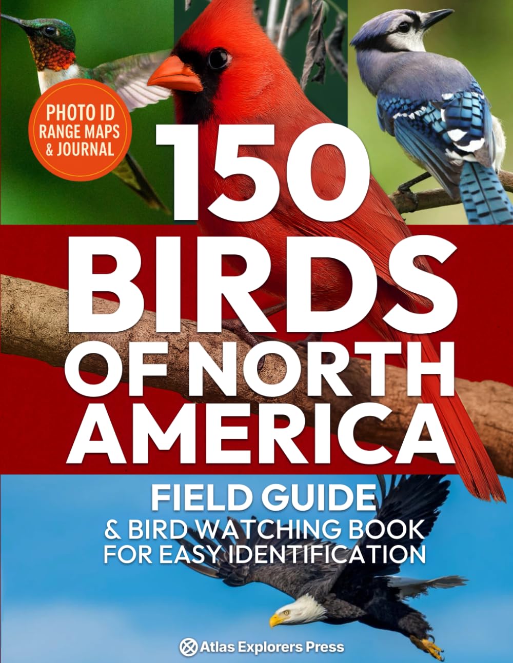 150 Birds of North America, Field Guide &amp; Bird Watching Book for Easy Identification: A Birding Field Guide to 150 North American Species with Photos, Identification Tips, Behavior &amp; Log Sheets