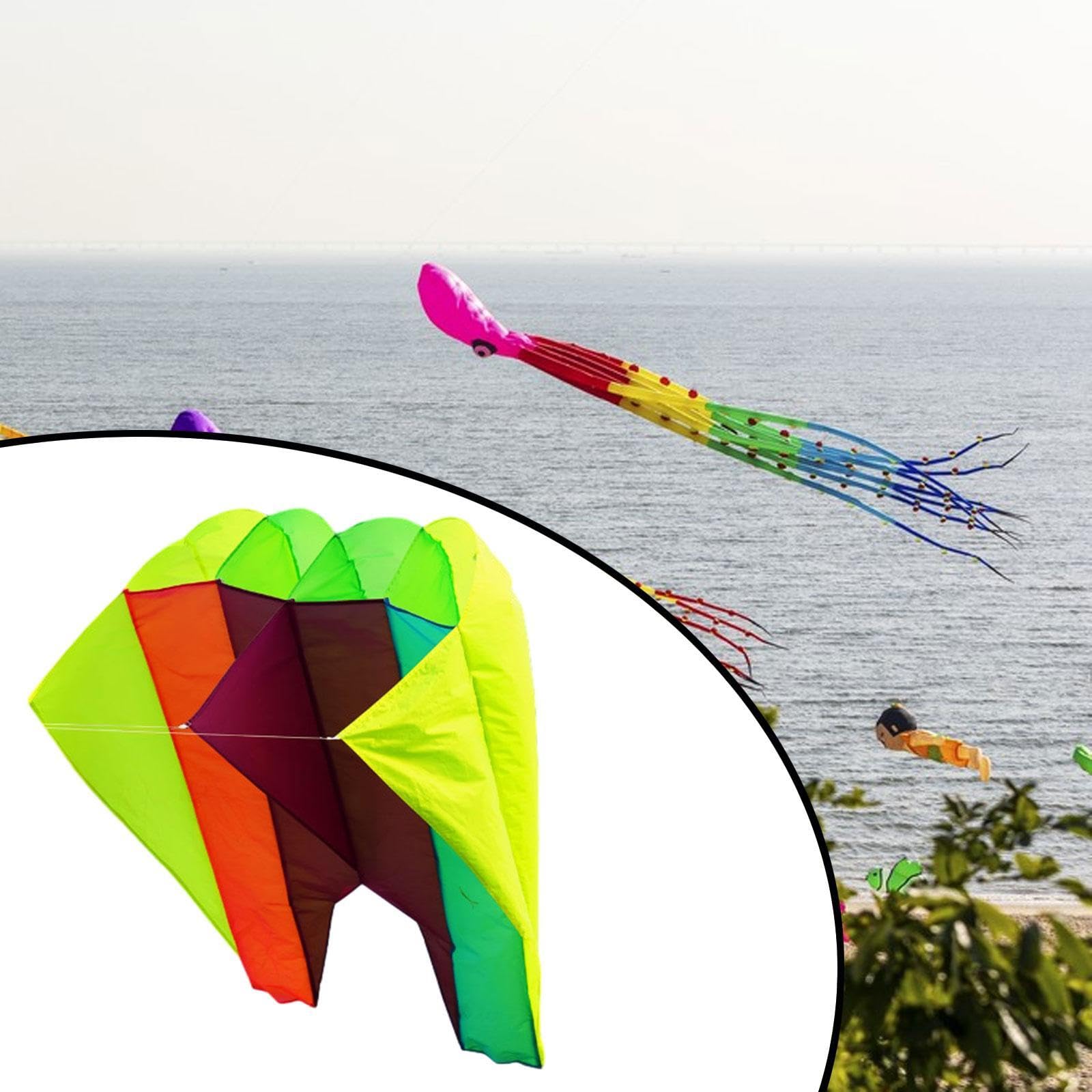 perfk Cometa con Mosca 3D, Actividades únicas Multicolor, Juego Infantil Plegable, Actividad, Pantalones Cortos Grandes, Cometa para césped, jardín, Viaje