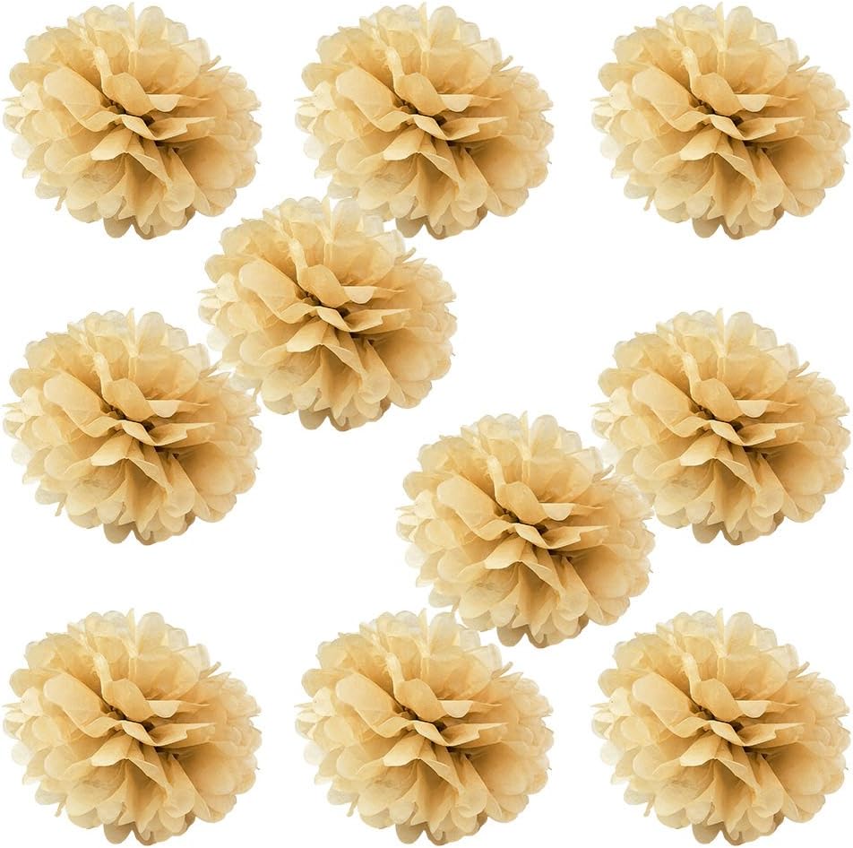 WYZworks Set of 10 - Purple 14" - (10 Pack) Tissue Pom Poms Flower Party Decorations for Weddings, Birthday, Bridal, Baby Showers, Nursery, Décor : Home & Kitchen