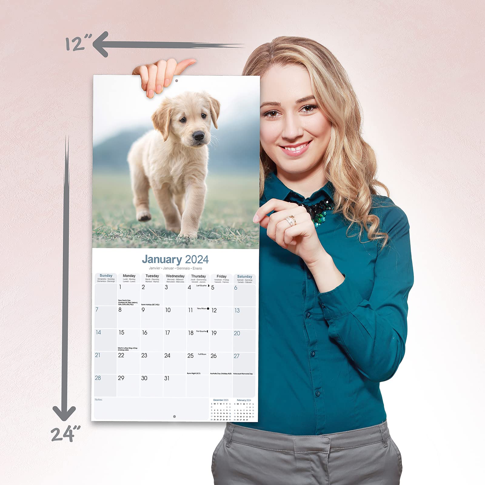 Golden Retriever Puppies - Golden Retriever-Welpen 2024 - 16-Monatskalender: Original Avonside-Kalender [Mehrsprachig] [Kalender] (Wall-Kalender)